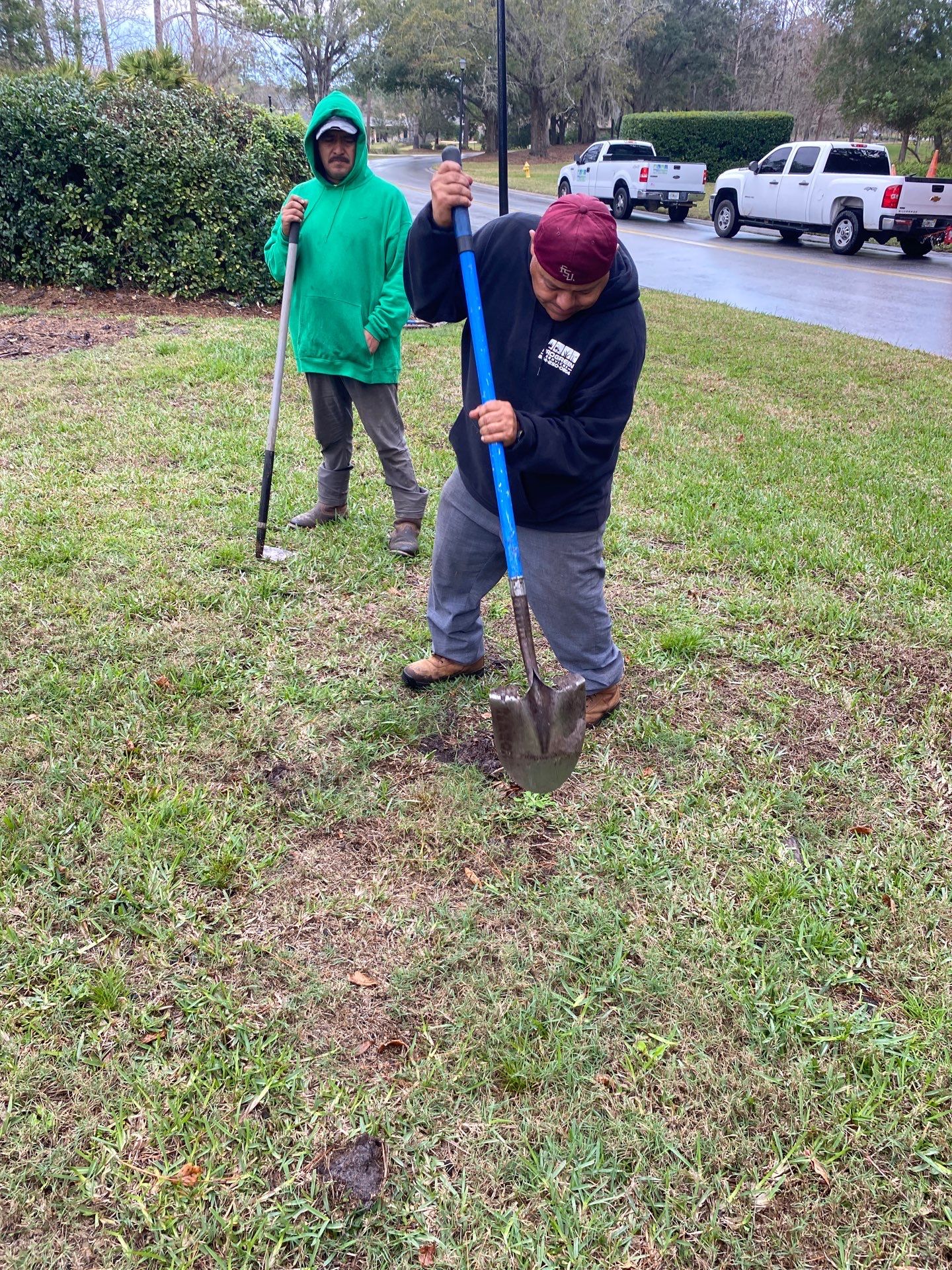 Deerwood | Live Oak Planting Project  by ProGreen Services