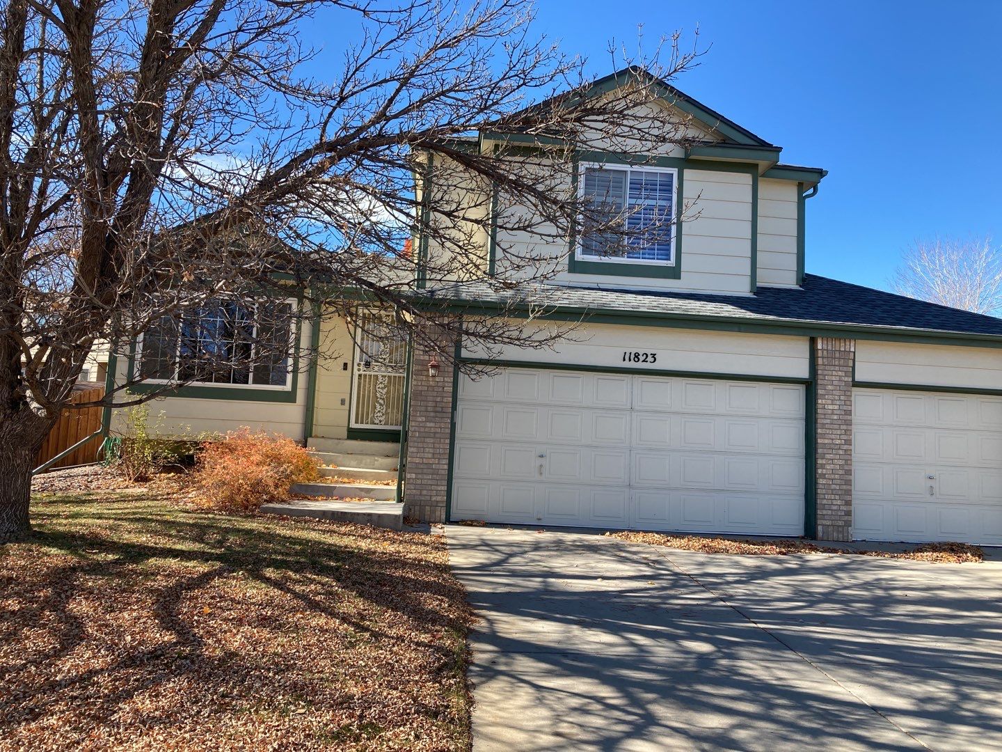 Mold Remediation Cleanup in Attic by Accountable Home Services