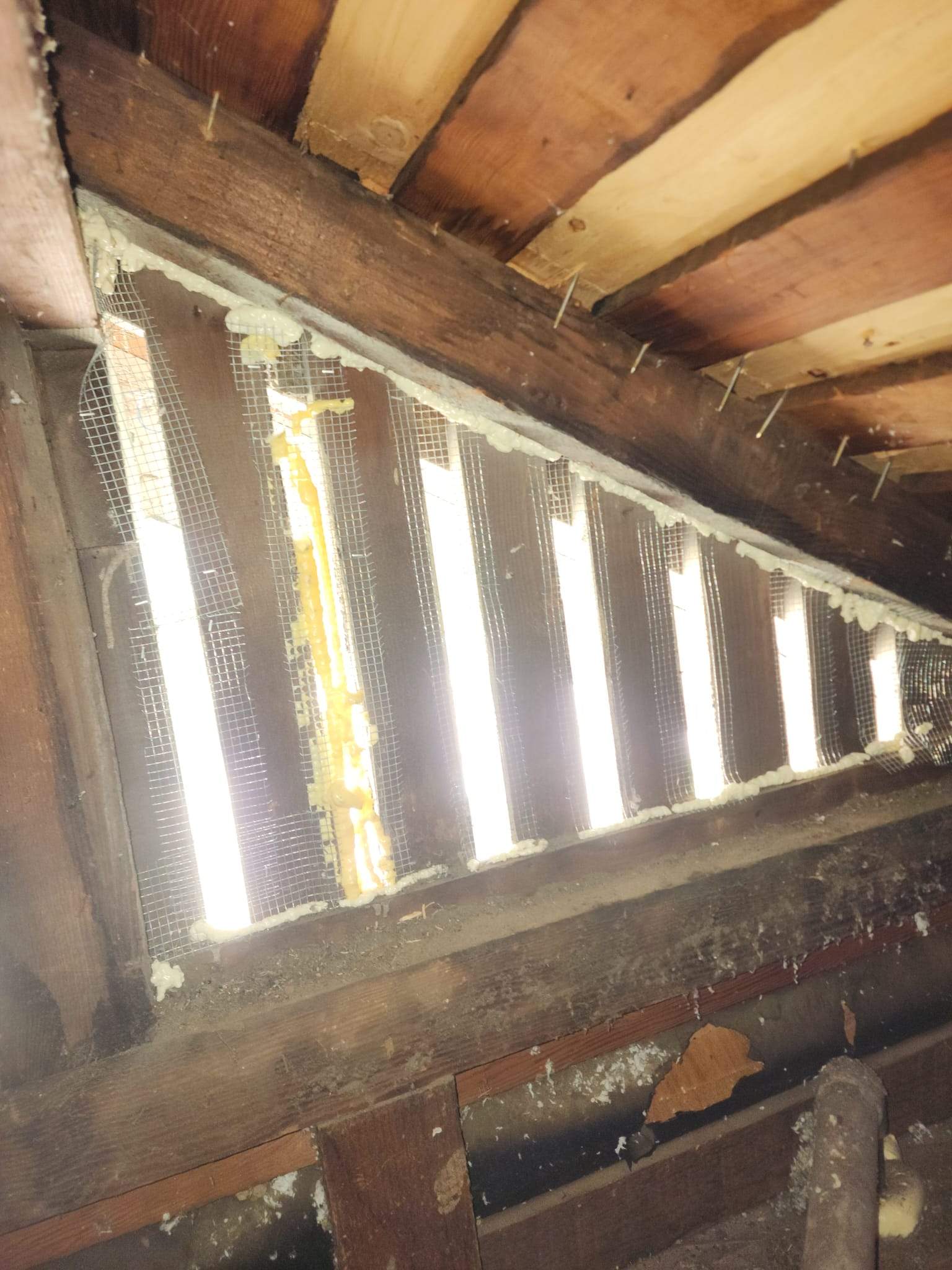 Project by Advanced Attic Solutions by Advanced Attic Solutions