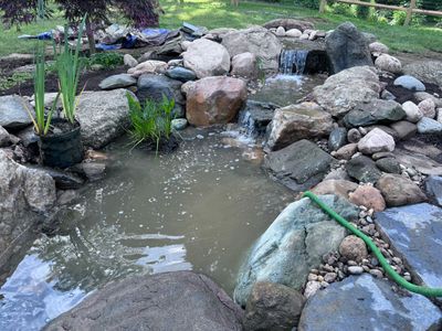 Small Pond Rescue in Williamsville, VT