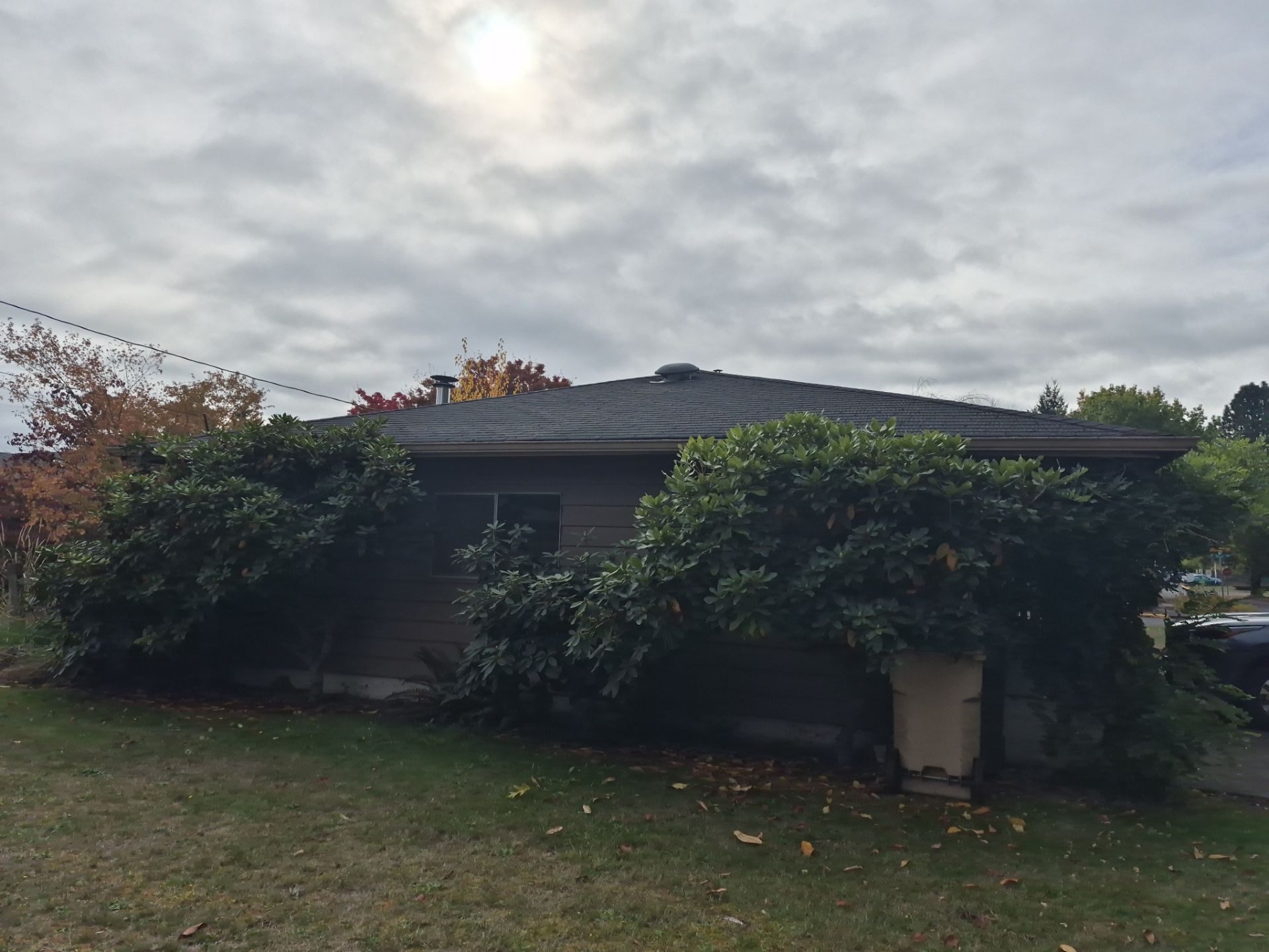 Project in Albany by Alamo Roofing