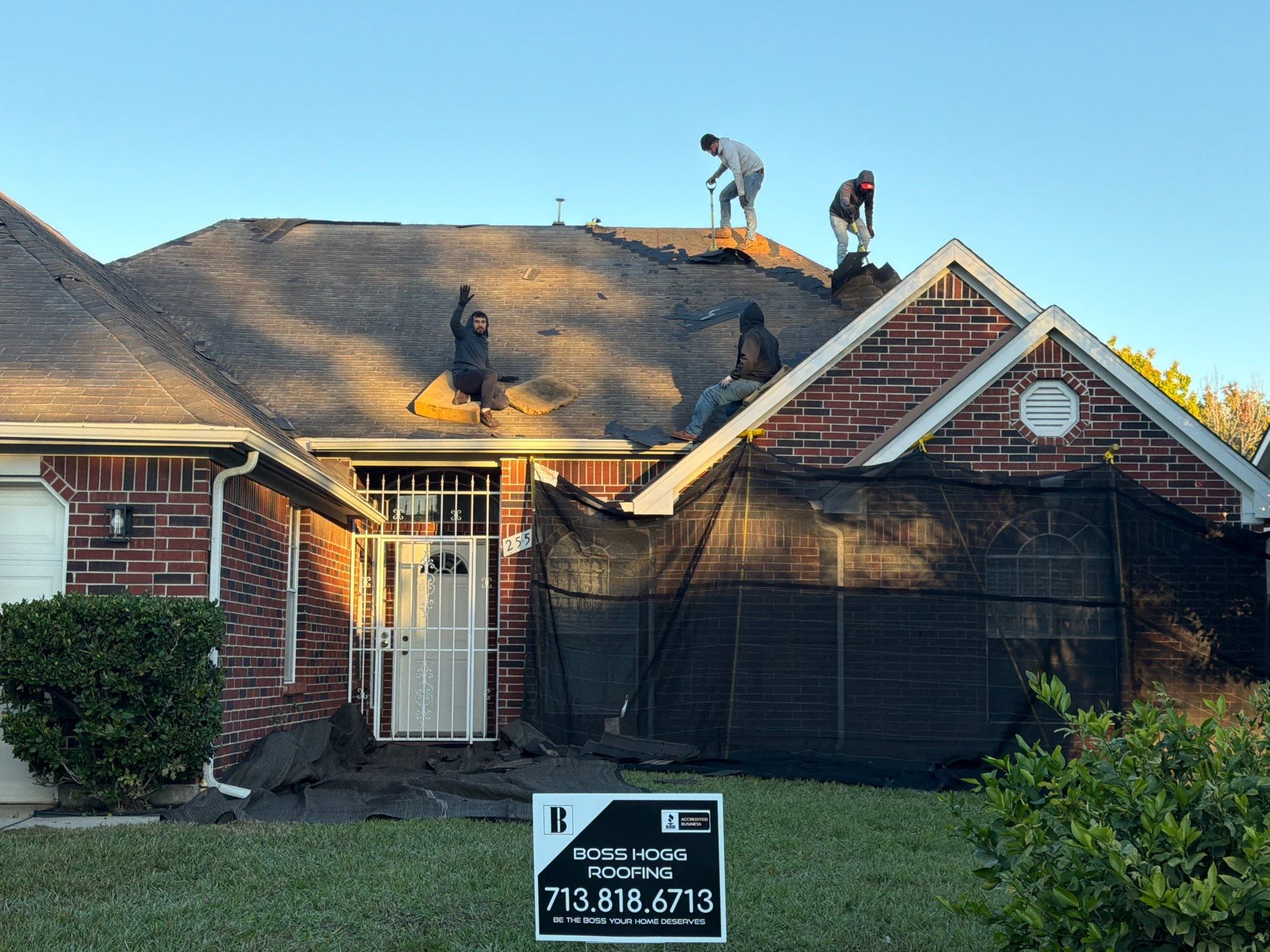 NOMI B. by Boss Hogg Roofing