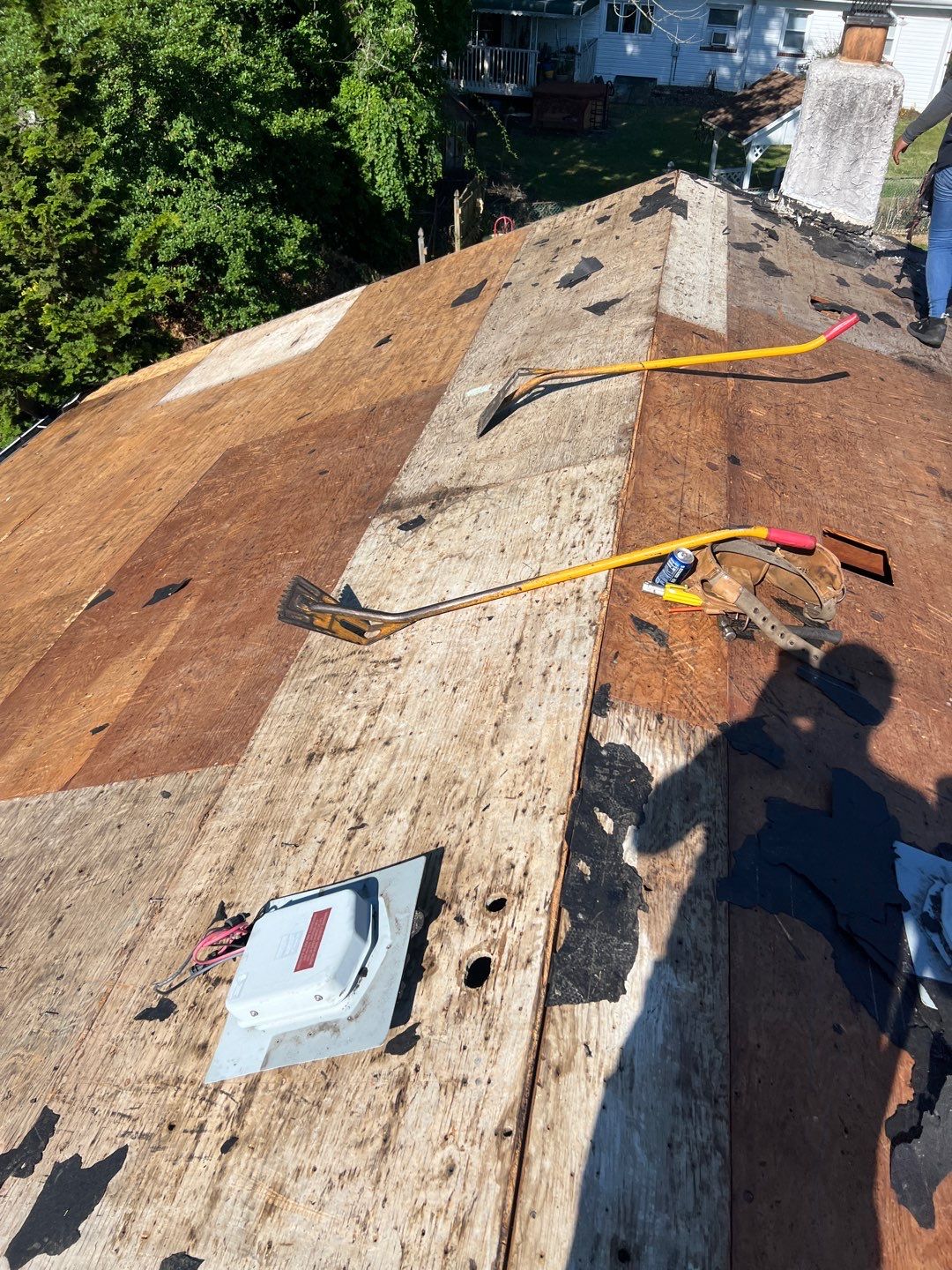 Silver Birch Shingles by Reimagine Roofing
