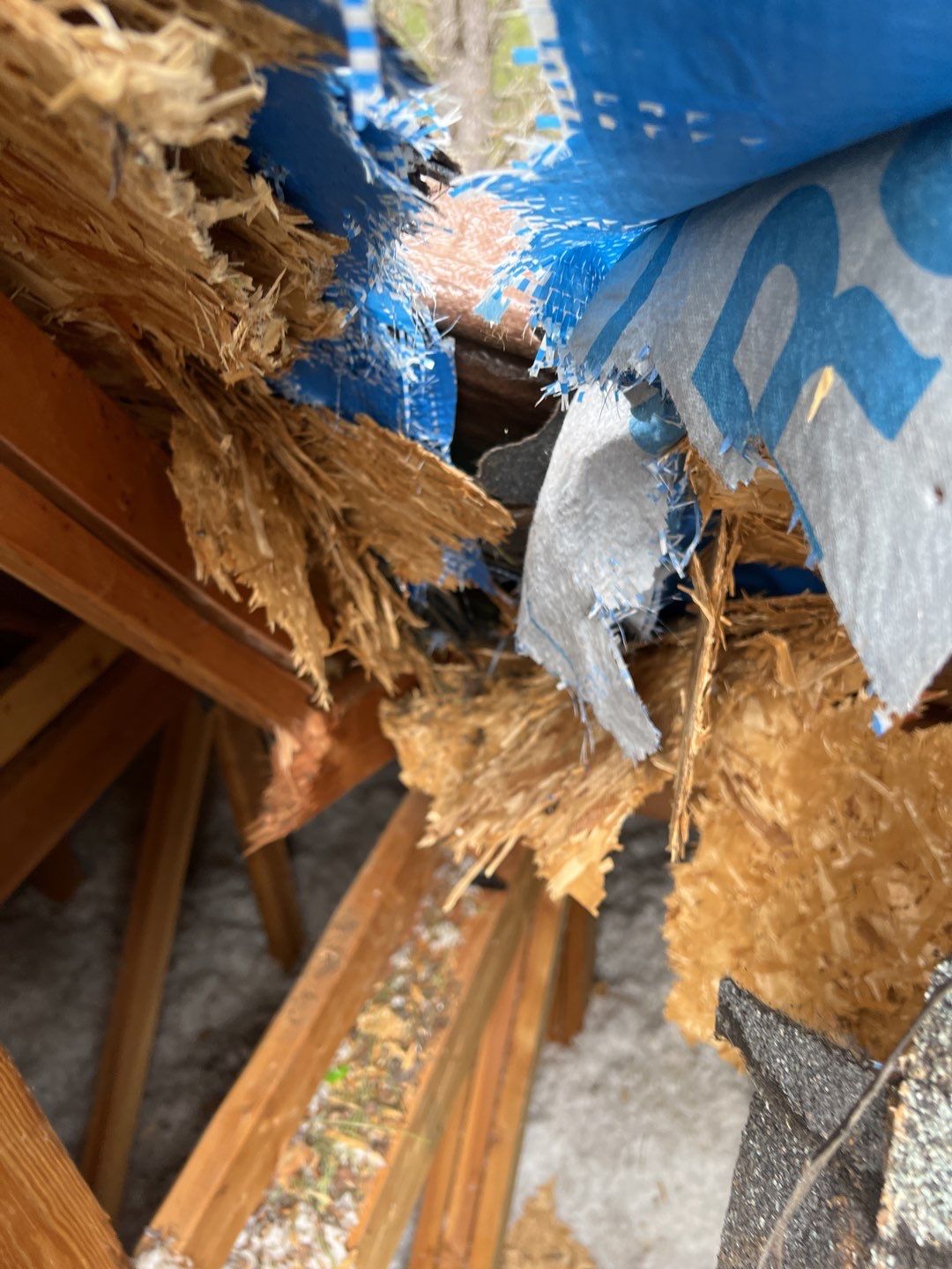 Green Snap Lock Standing Seam  by Montana Roofing Solutions