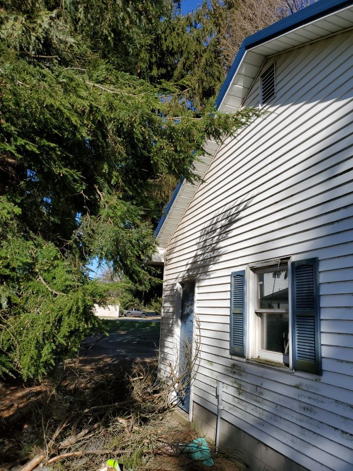 Storm Damaged Tree Removal  using Tree Removal by Mike Jones & Sons Tree Service LLC 