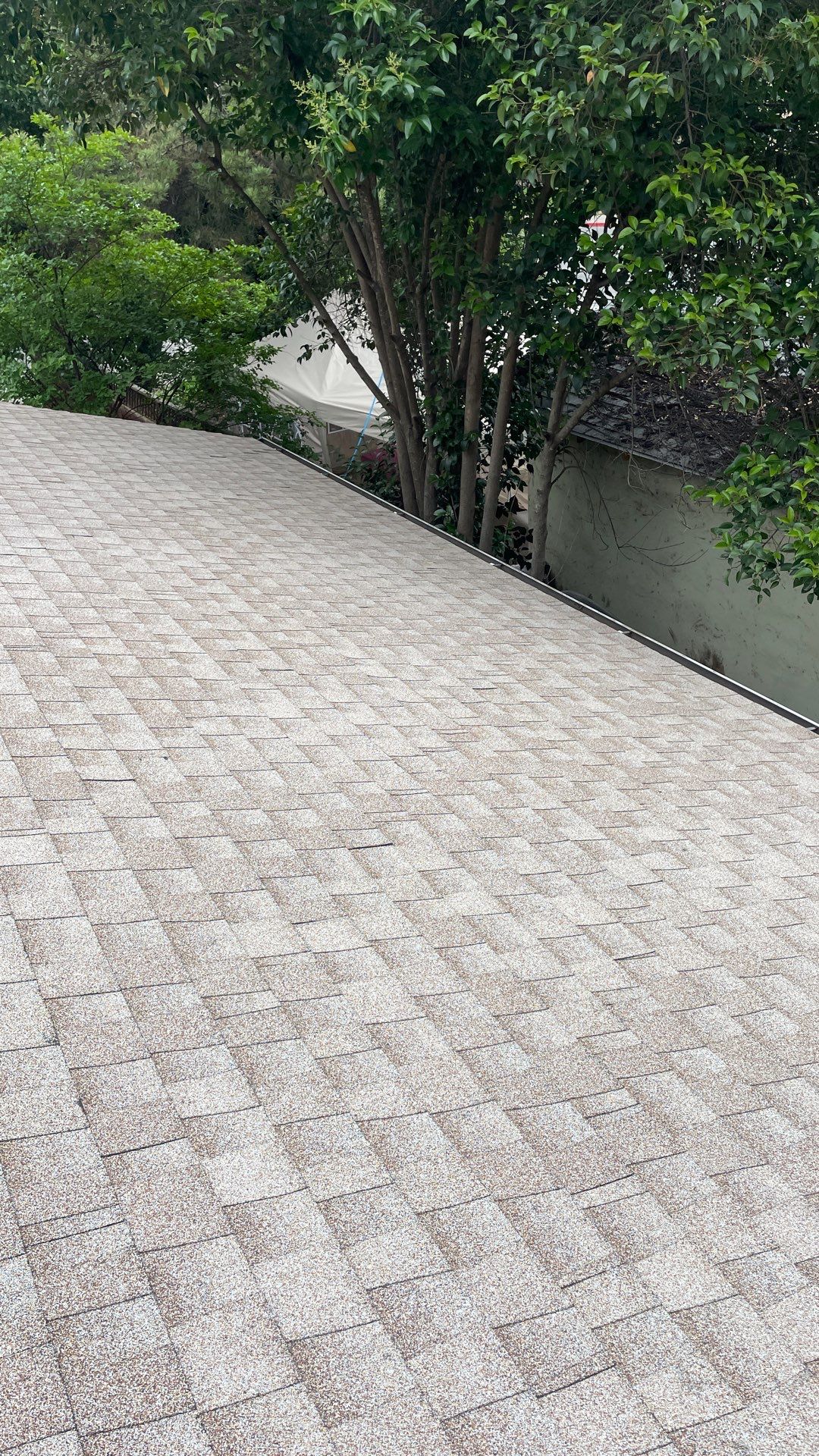 Chico Shingle by Butte Roofing Company License #567600