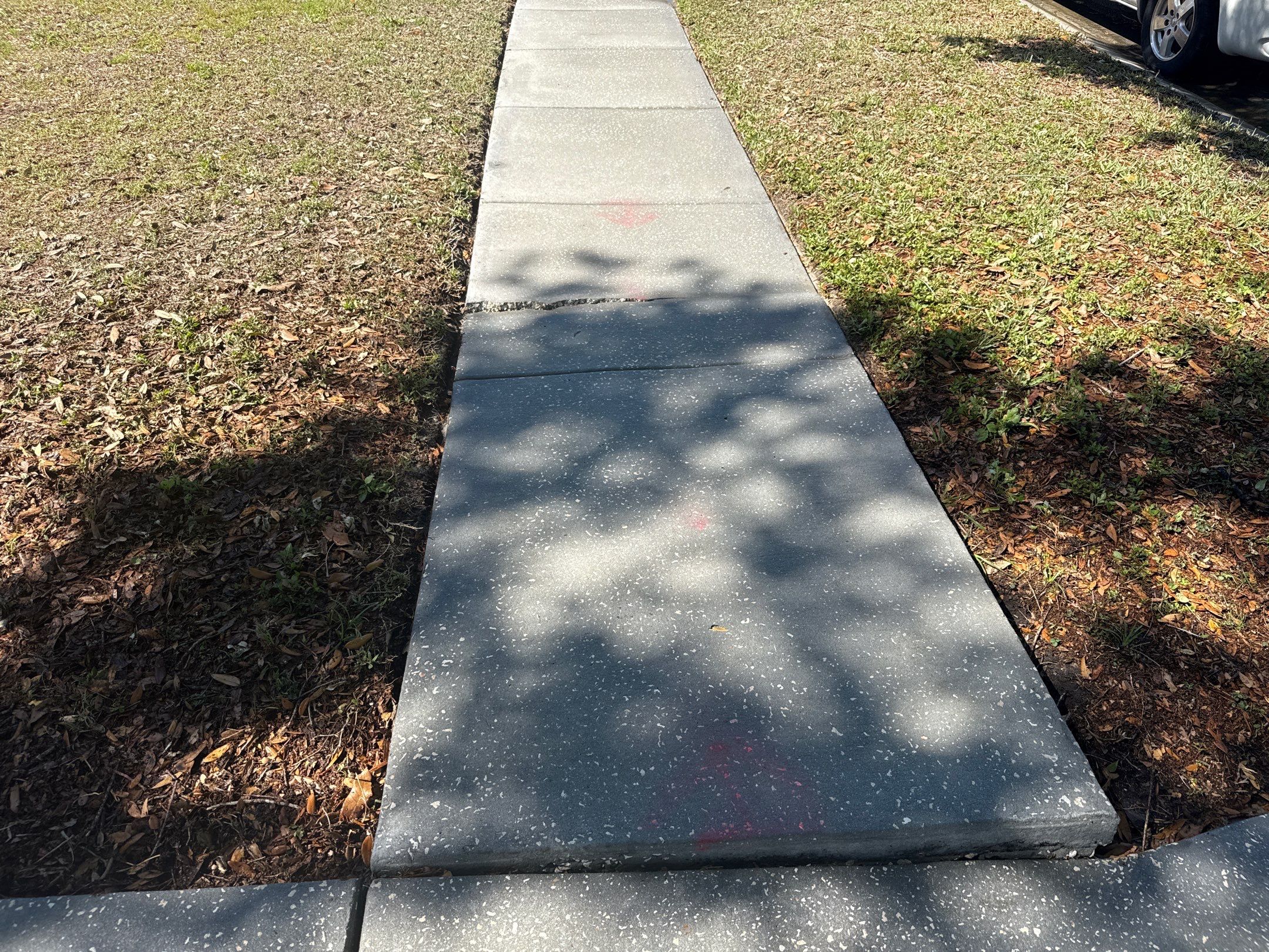 Concrete Driveway & Sidewalk Cleaning ā Peppermill IV at Providence Lakes, Brandon, FL by Sunshine AquaWash