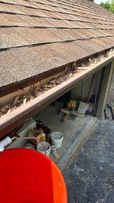Turtle Shell gutter protection installation in Naperville, IL 60563, photograph 5
