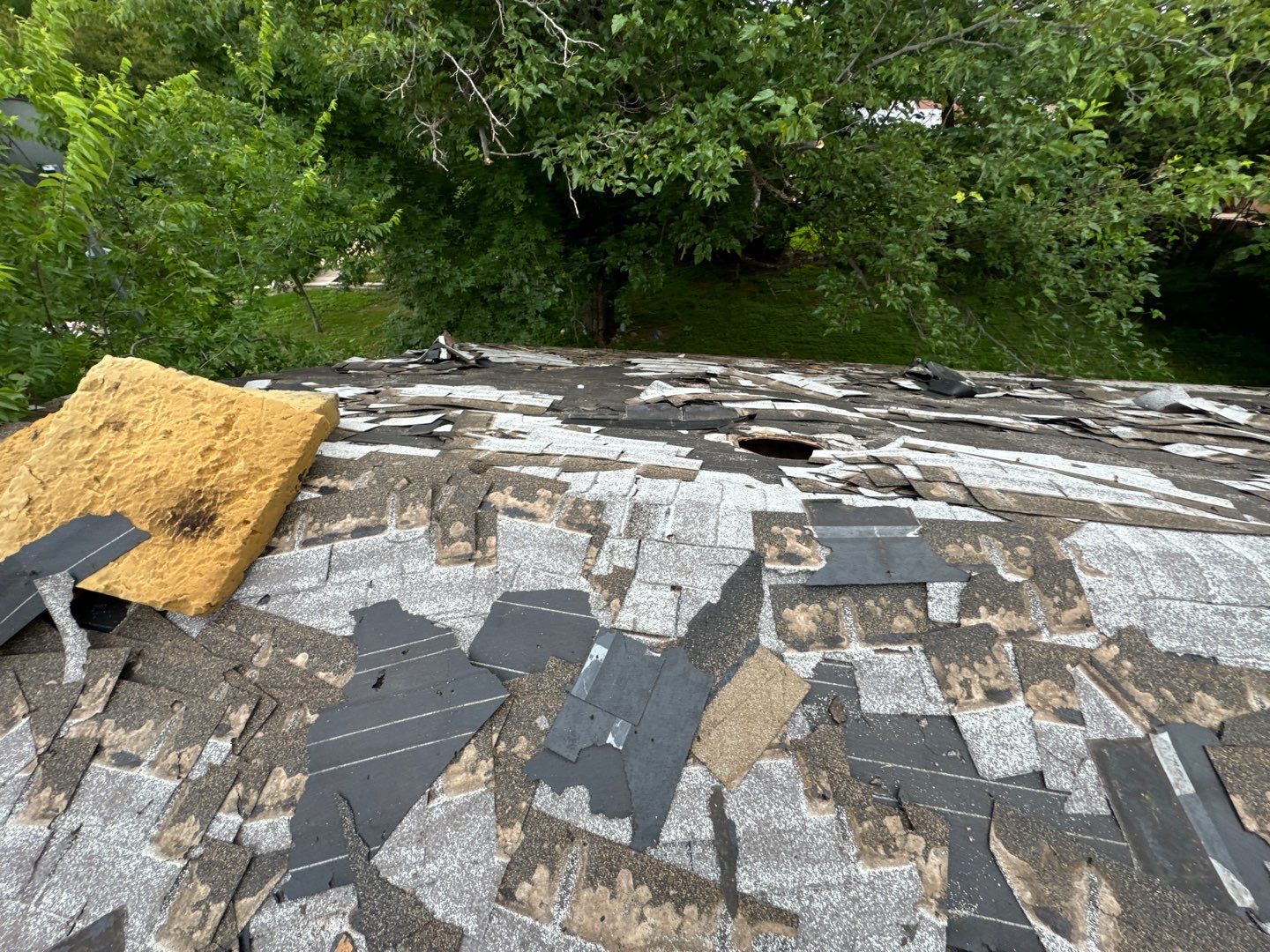 Project in Arlington by Armor Roofing | Exteriors