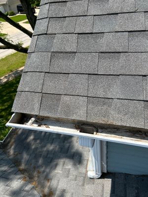 Turtle Shell gutter protection installation in Naperville, IL 60563, photograph 19