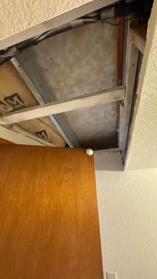 Mold Damage Project in Thornton