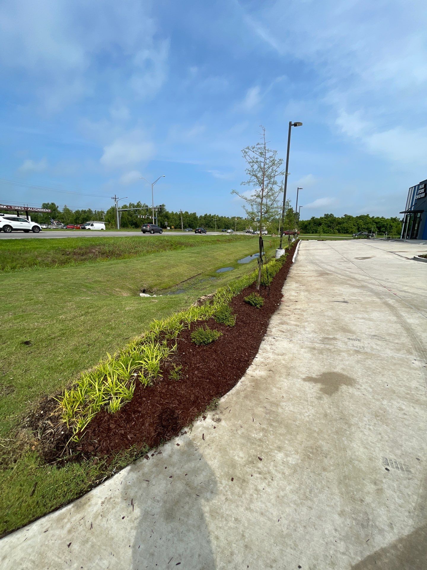 COMMERCIAL LAWN MAINTENANCE: HEDGE TRIM / BED CLEAN / MULCH INSTALL using BROWN MULCH "BARK BRITE" by CutScape, LLC.