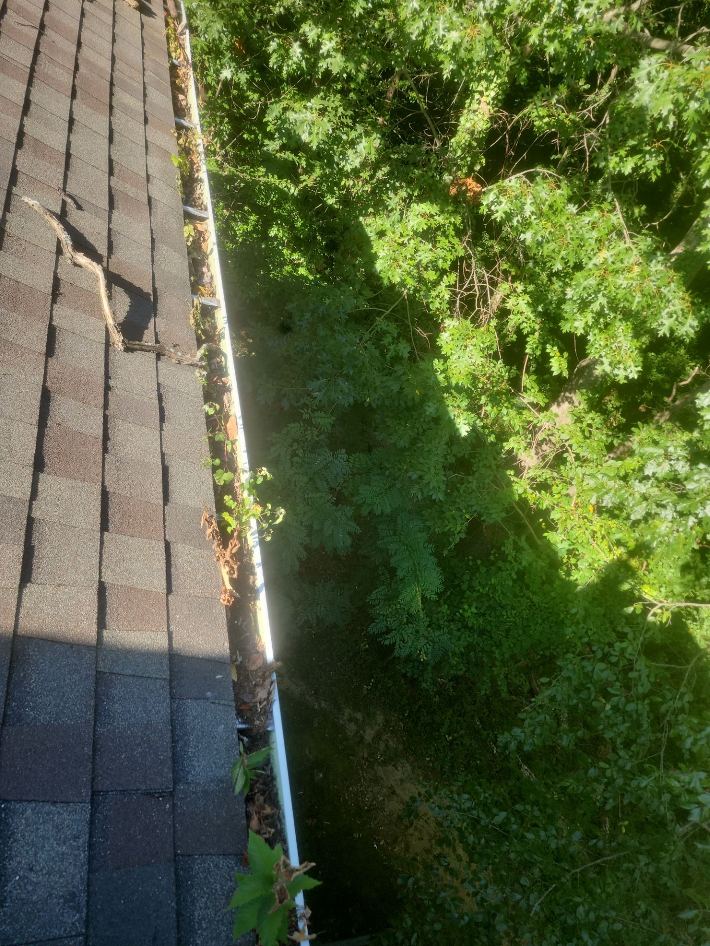 Commercial gutter cleaning Annapolis, MD before photo with filled gutters