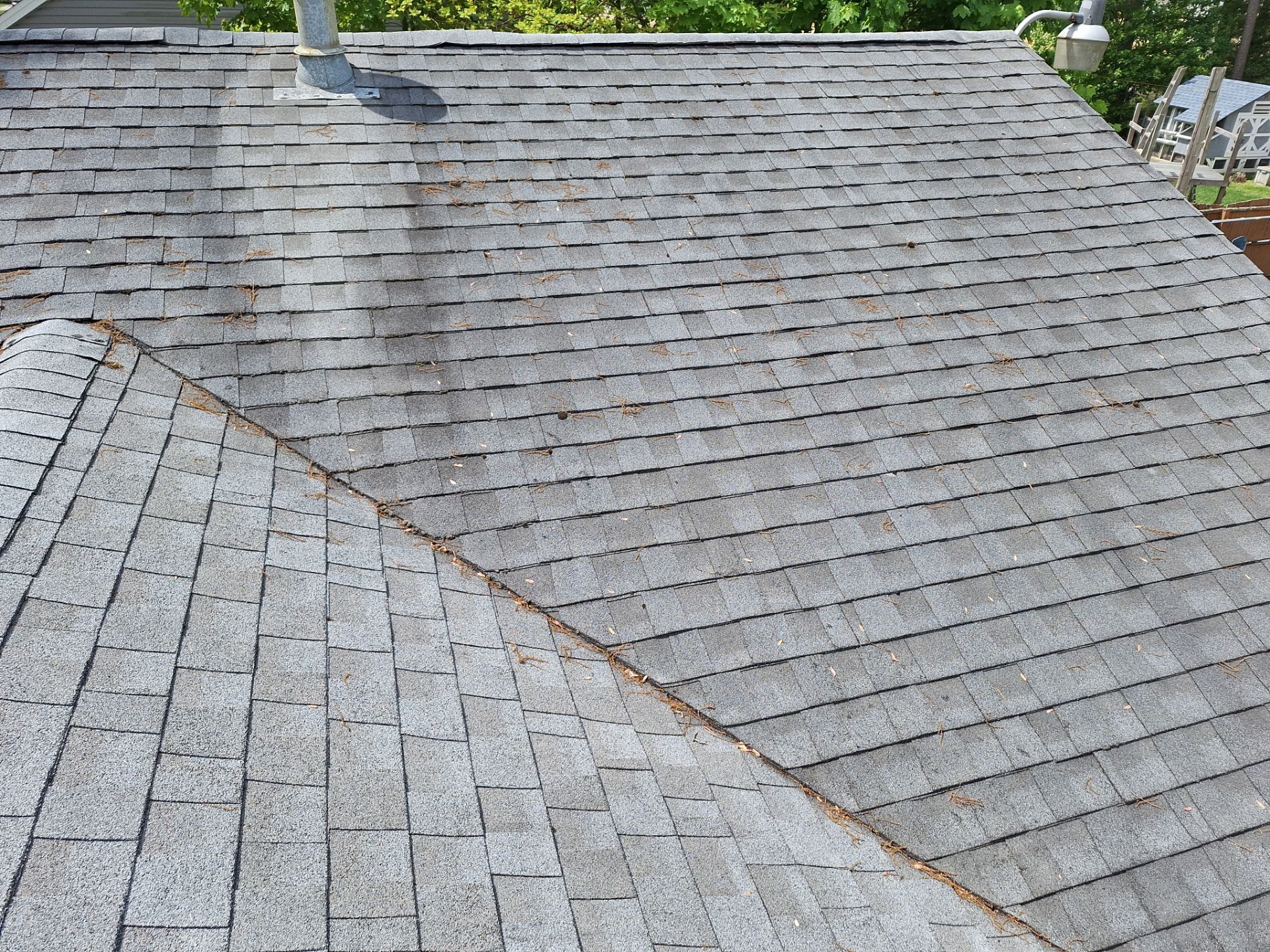 Silver Birch Shingles by Reimagine Roofing