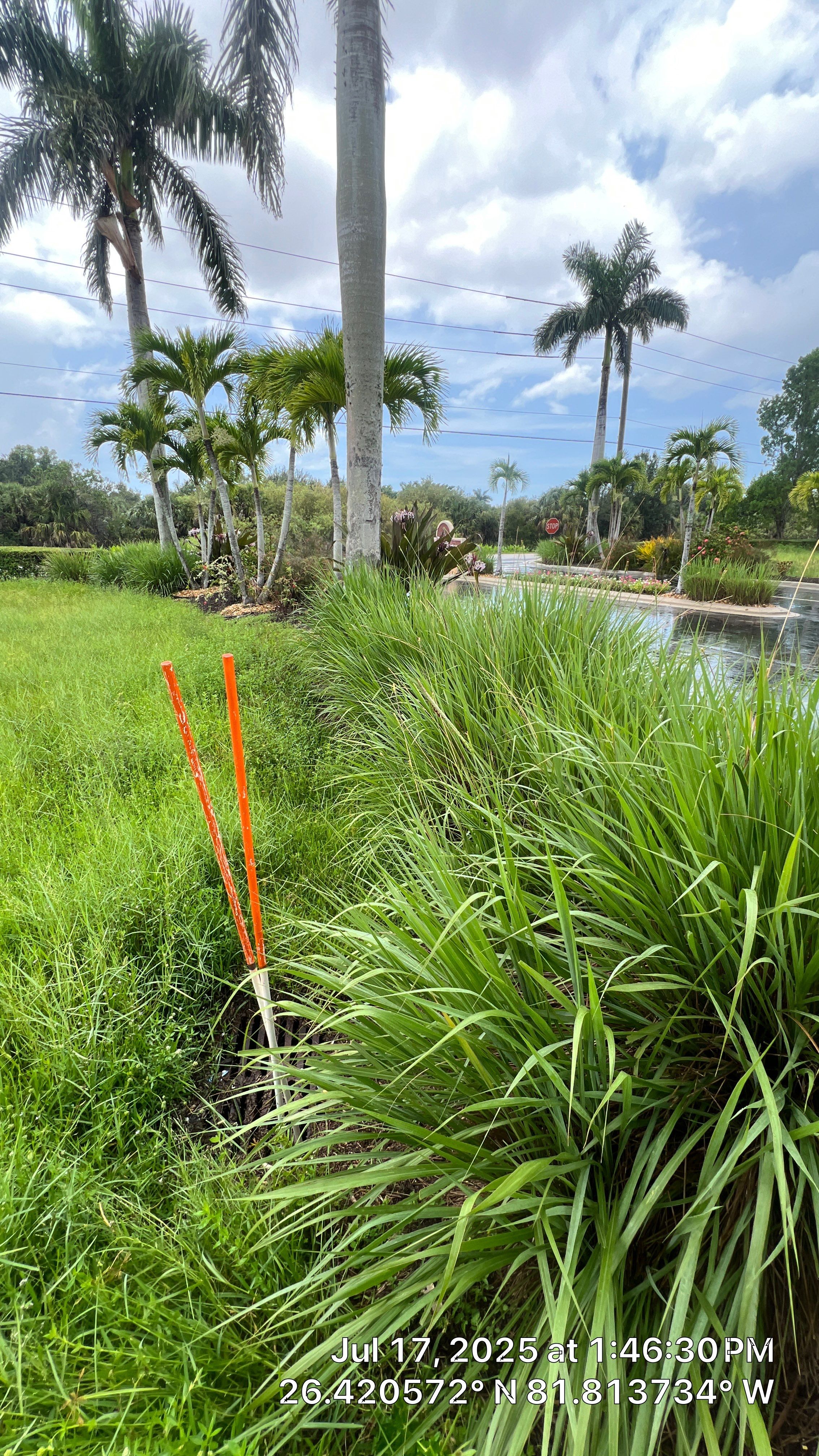 Catch Basin Cleaning with 1 Tom Plumber in Estero by APS Power & Water