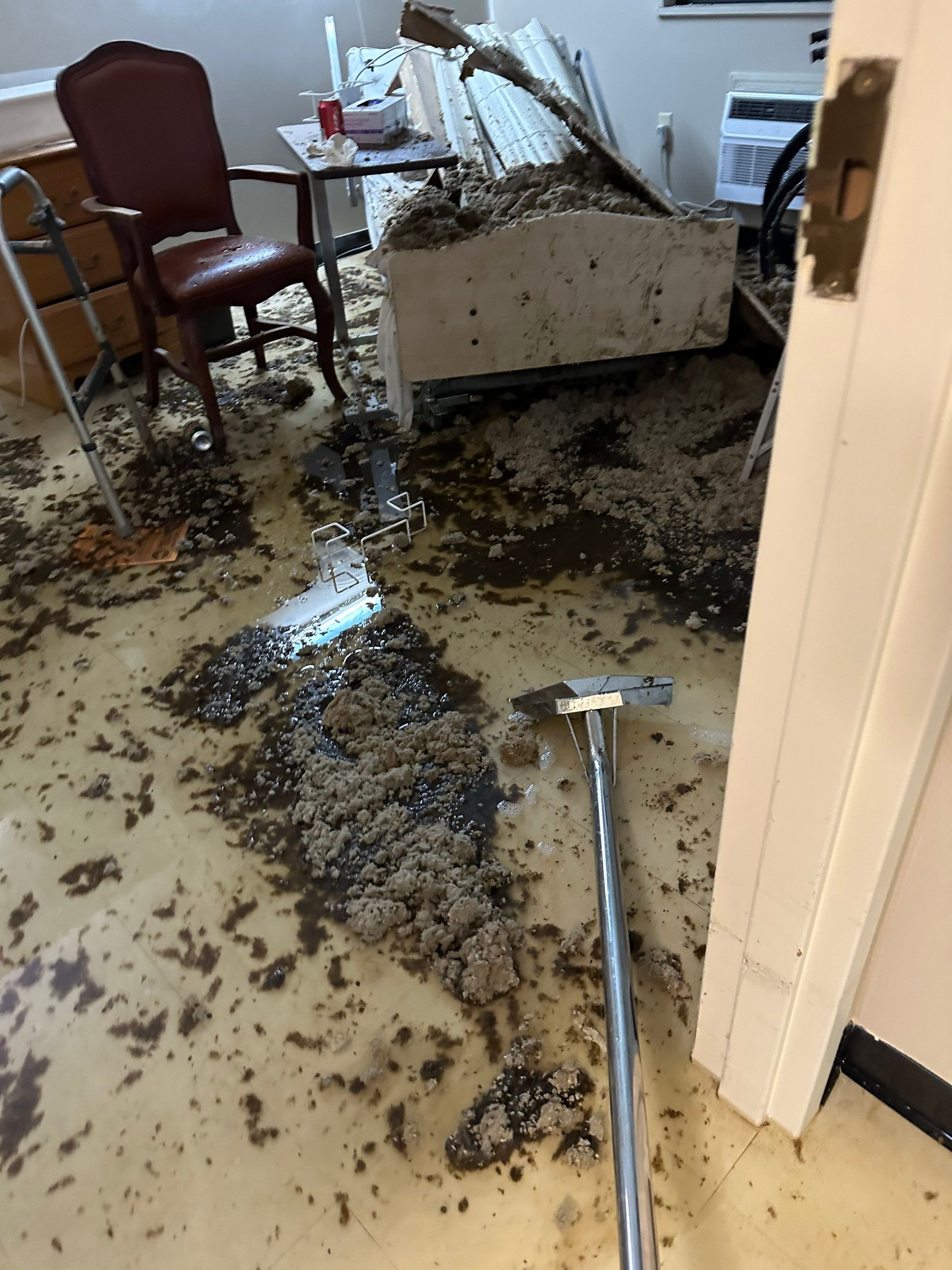 LCCR by BlueRed Restoration