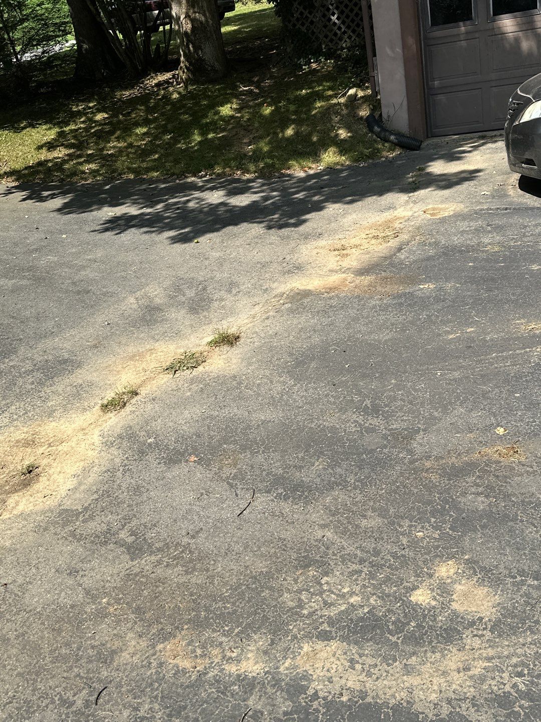 the service being done is cleaning and restoring the asphalt surface of a driveway using pressure washing techniques