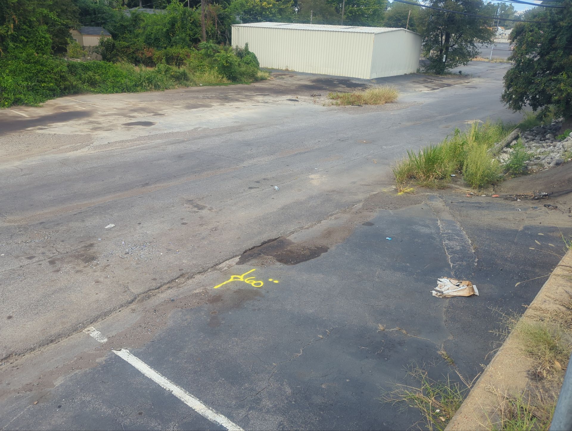 Utility Locate and Utility Mapping for Survey by Alsip Locating Service, LLC