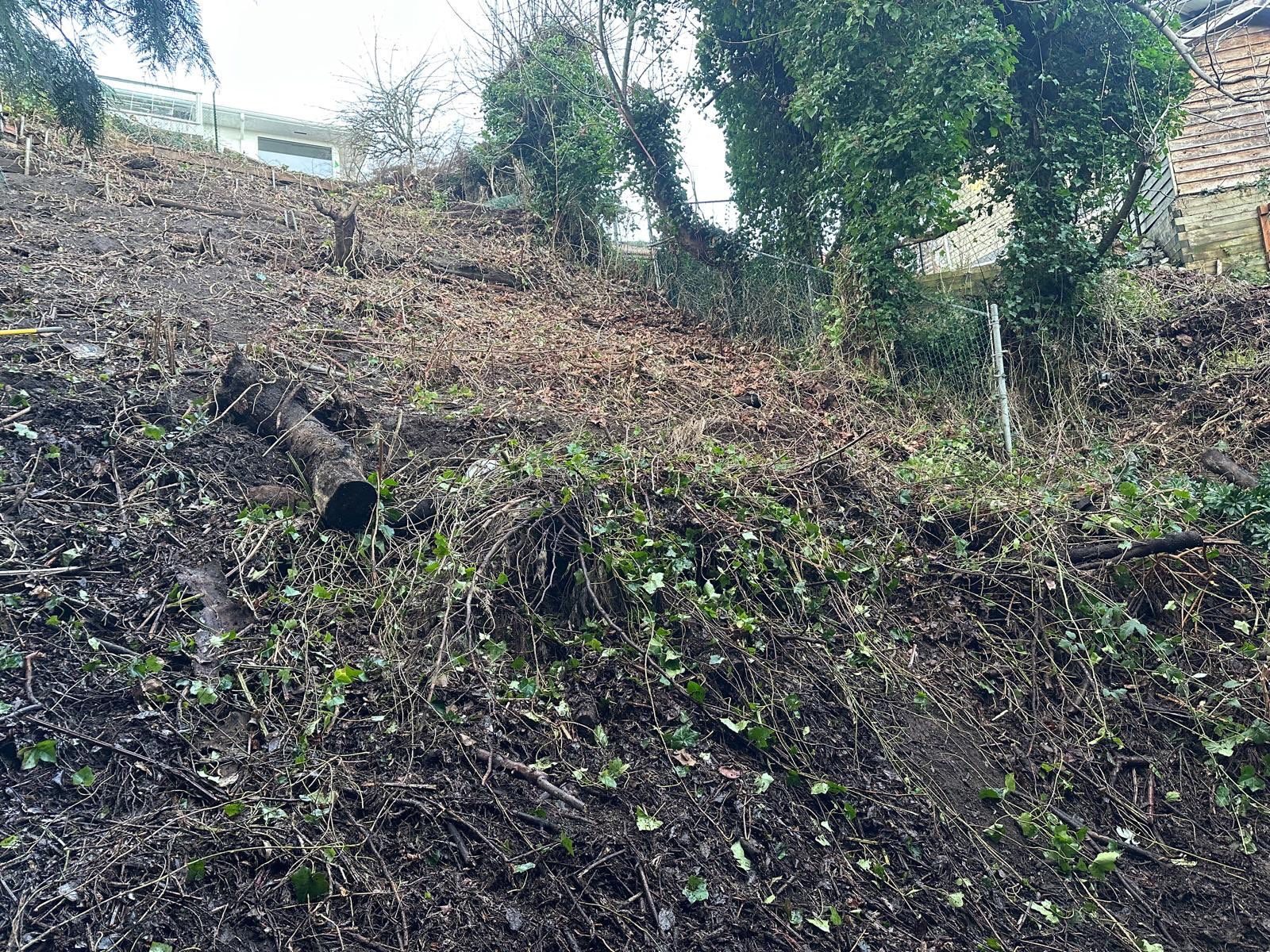 Georgia Park Terrace — Living Slope Transformation by Habanero Landscape Solutions