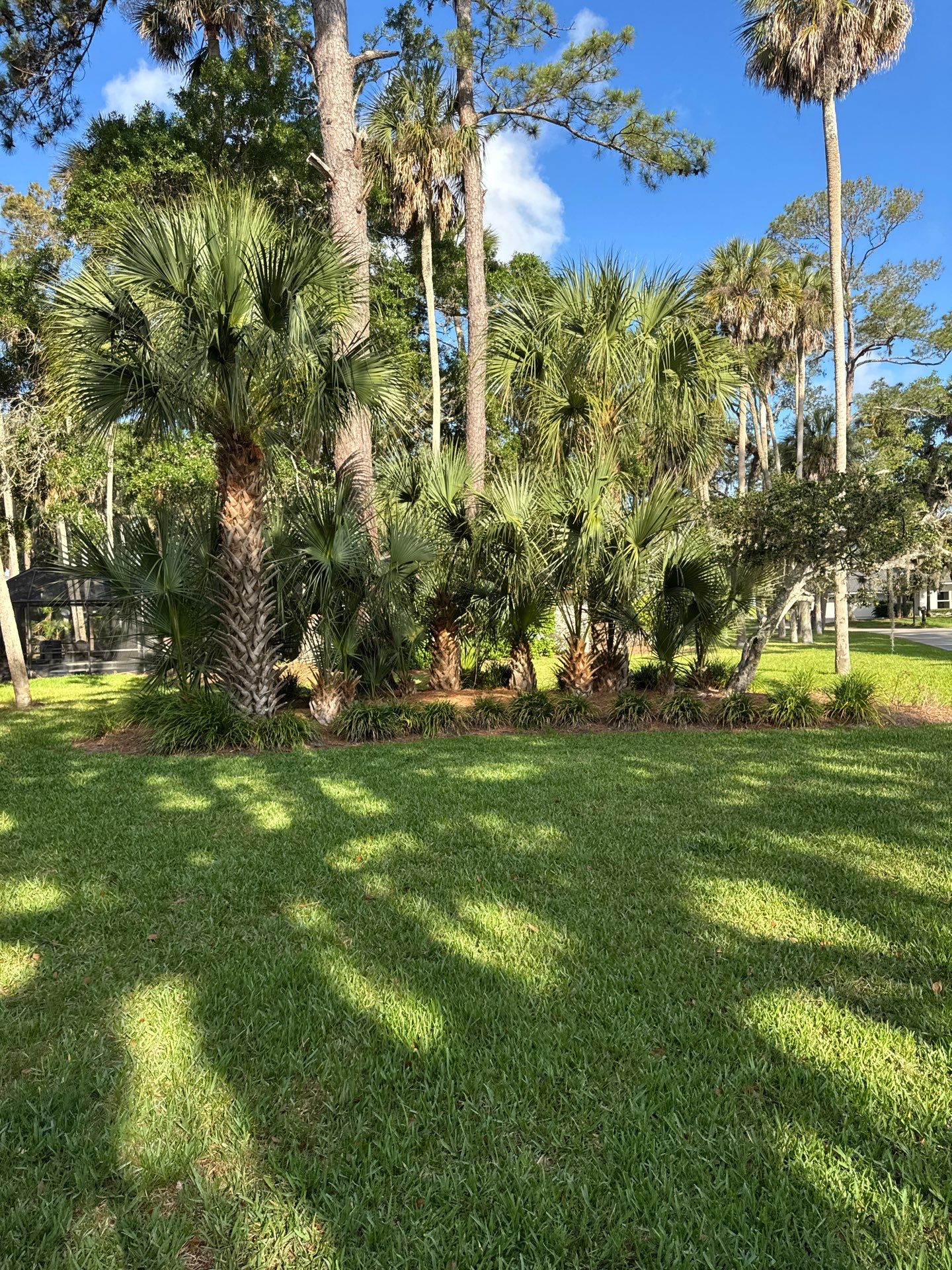 Residential | Pine Straw Install by ProGreen Services