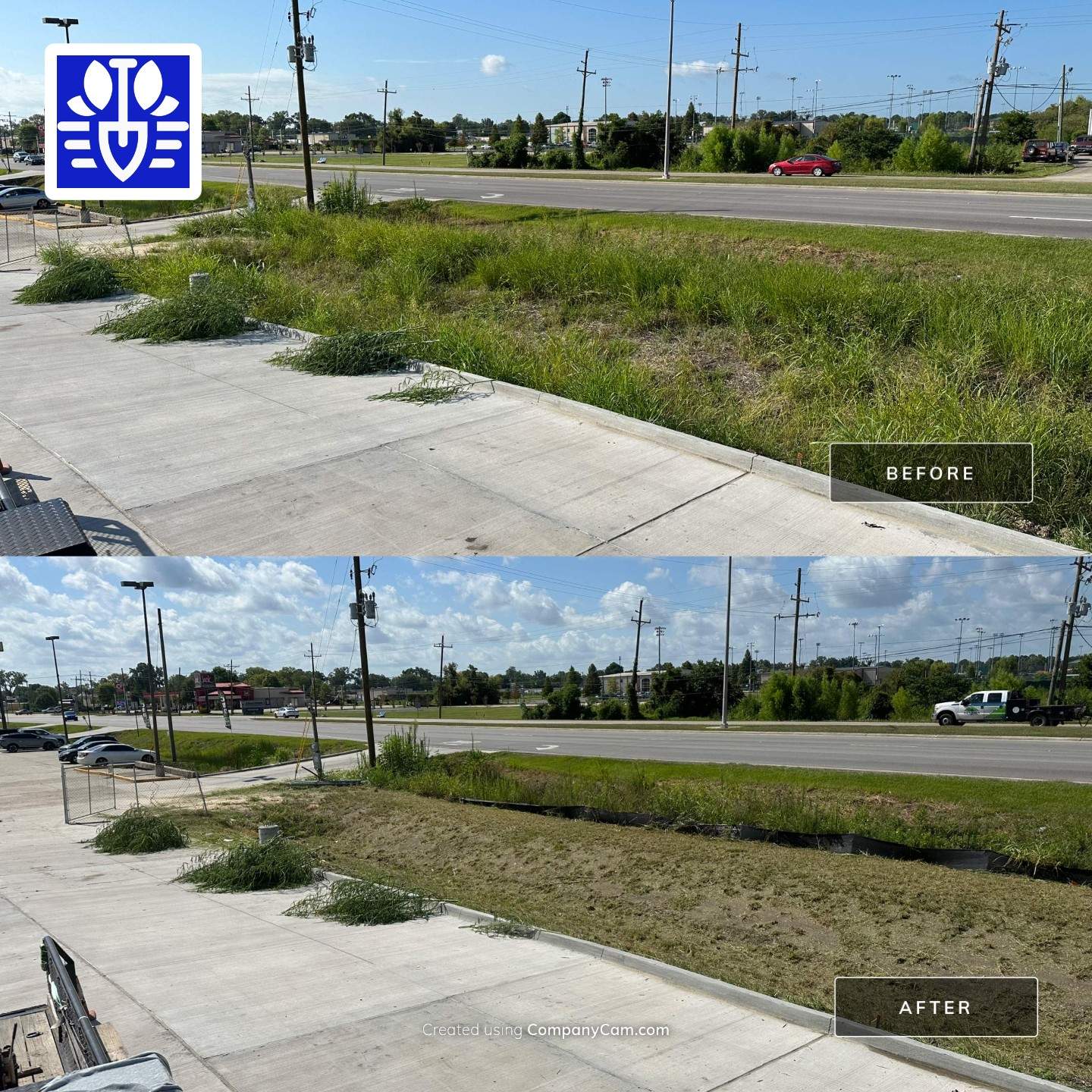 COMMERCIAL LAWN MAINTENANCE: HEDGE TRIM / BED CLEAN / MULCH INSTALL using BROWN MULCH "BARK BRITE" by CutScape, LLC.