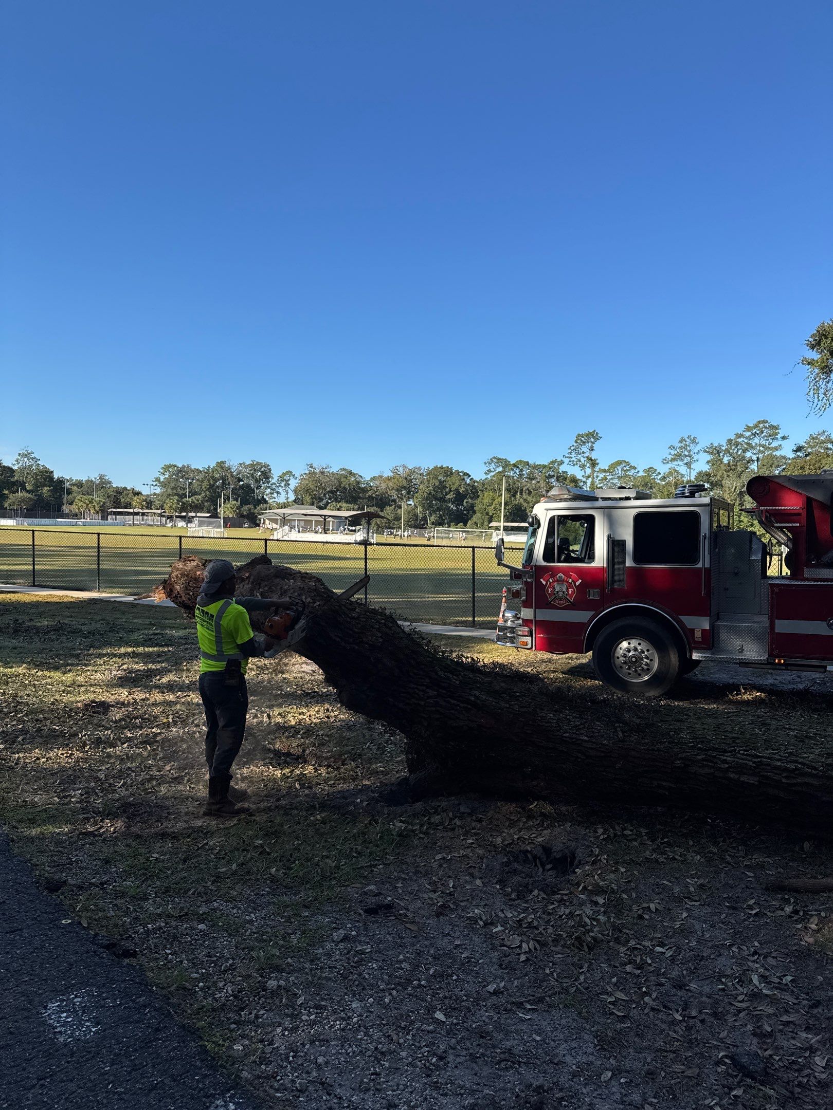 Episcopal | Large Tree Removal by ProGreen Services