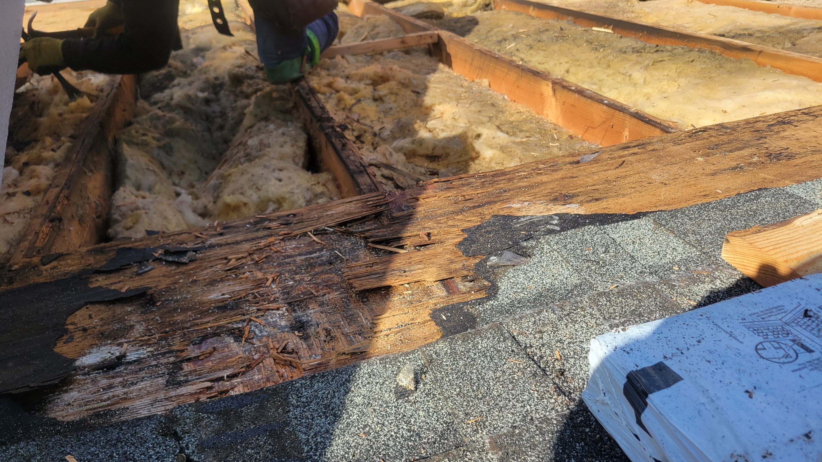 Pierce Roof Pros featured photo.