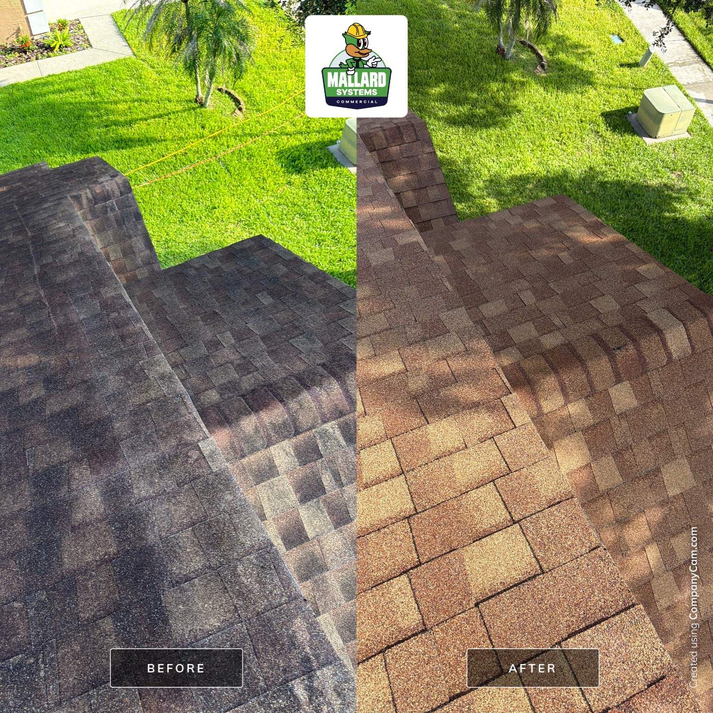 Professional Roof Cleaning in Waterford Lakes by Mallard Systems