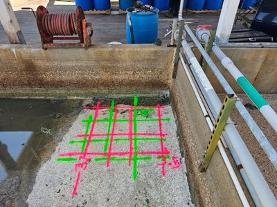 Obtain reinforcement and slab thickness data