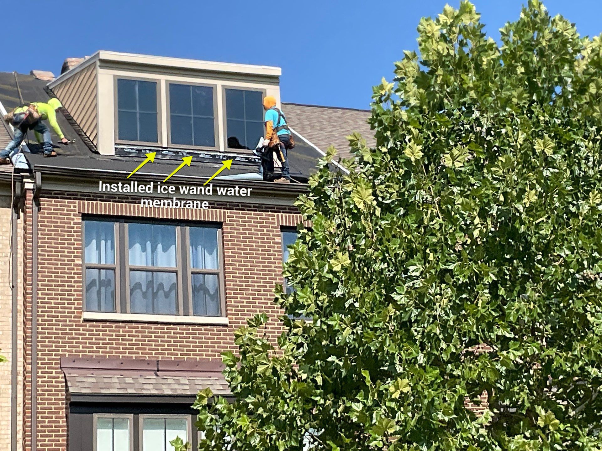 New Shingle Roof Installation  by Alpha Design Services