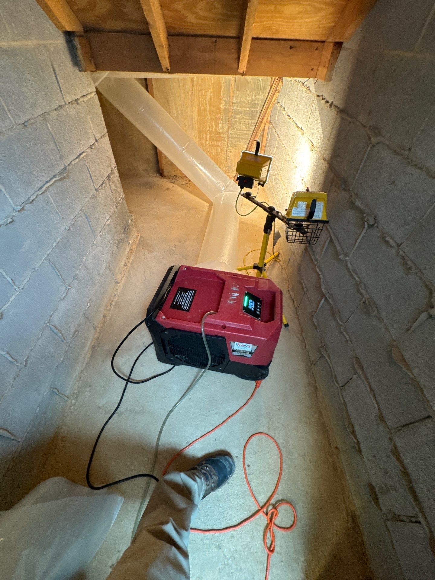 Basement Remediation by ANR Restoration