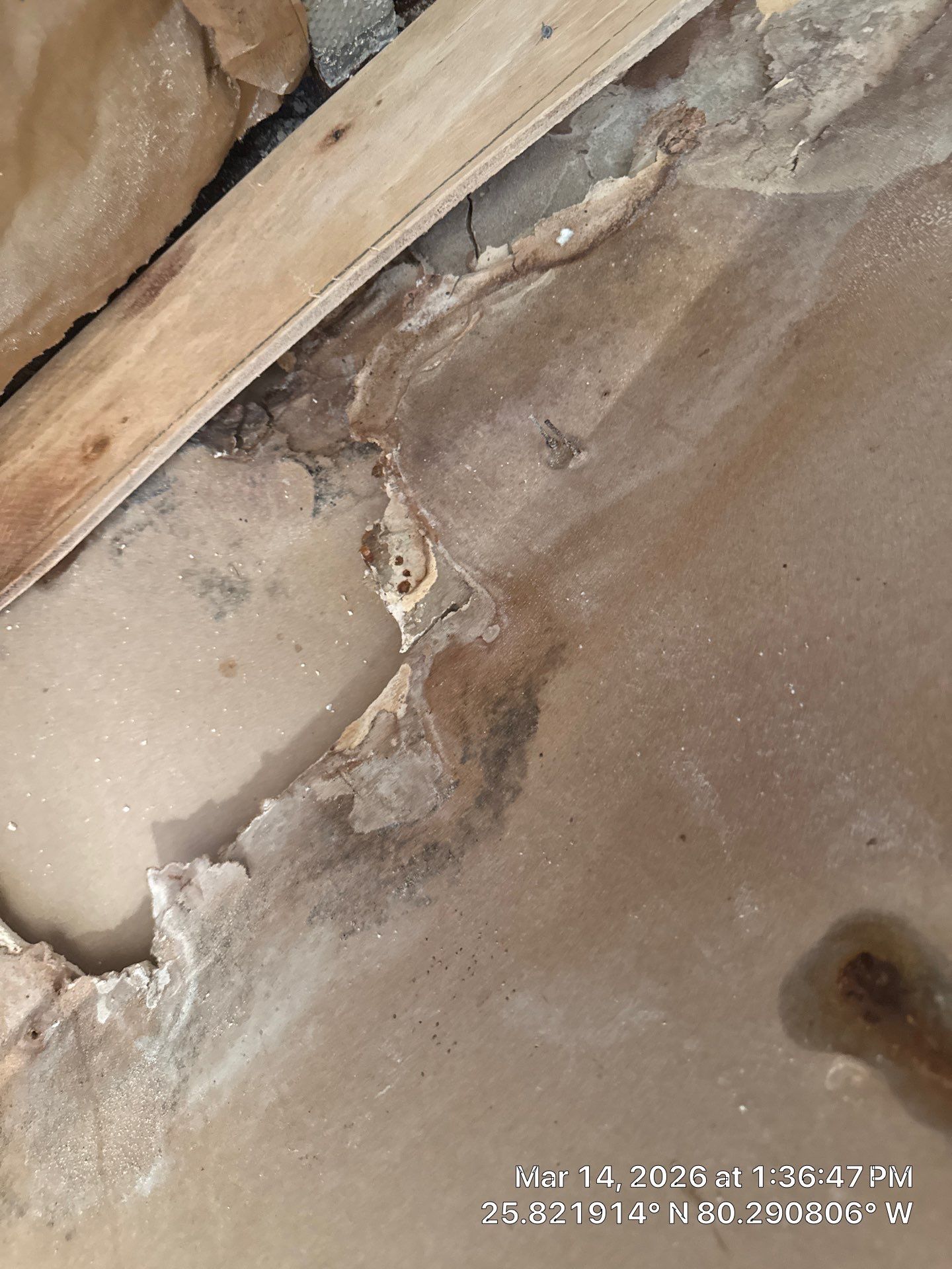 Mold Remediation by SuperClean