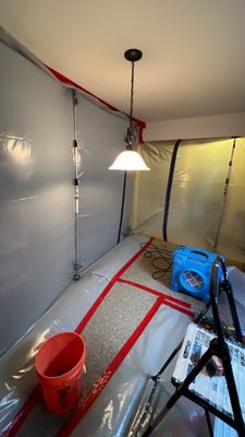 Water Damage and Mold Remediation
