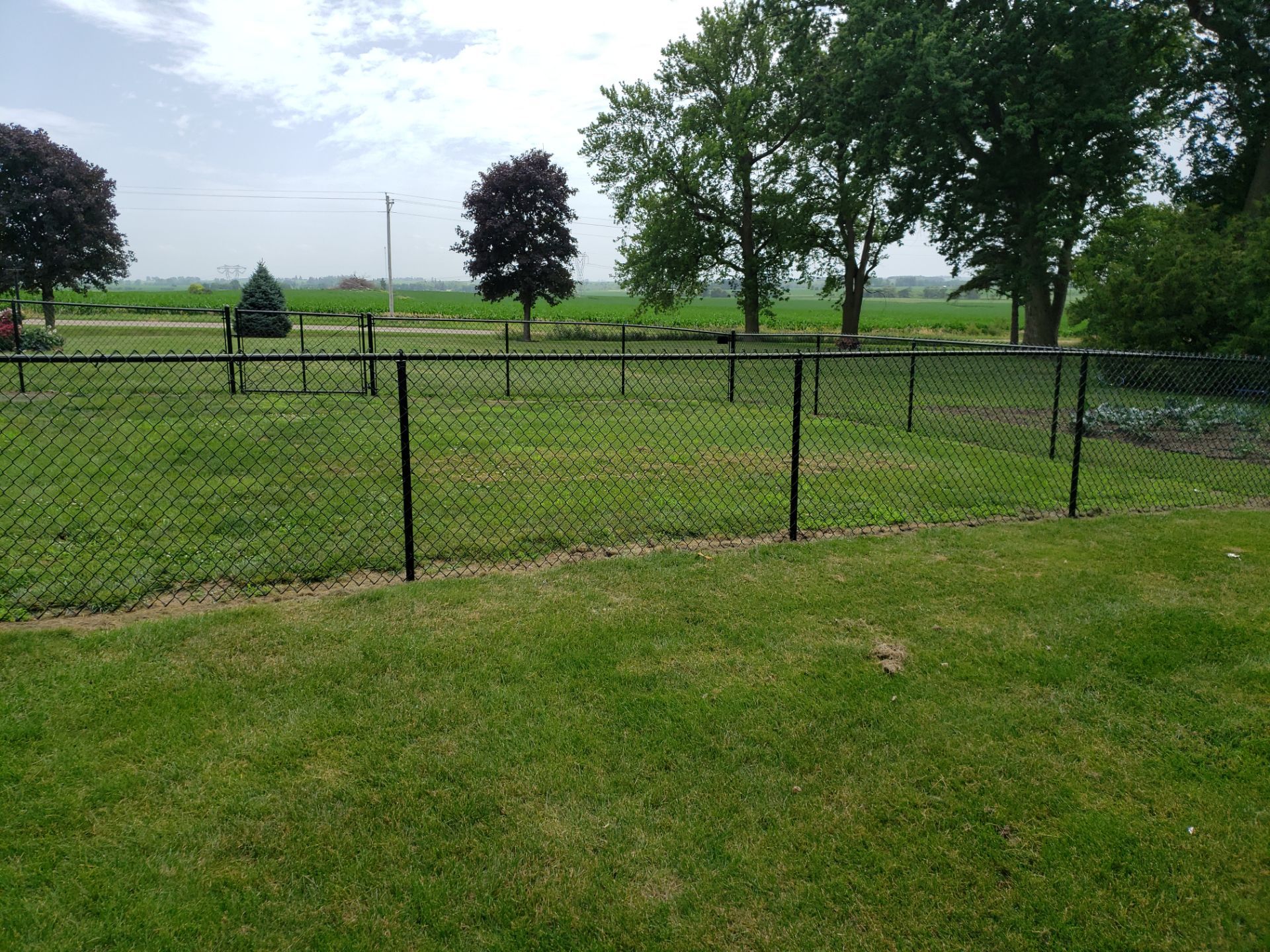 Black Vinyl-Coated Chain Link Fence Installation in Fredericksburg by Perfect Picket Fence and Stain
