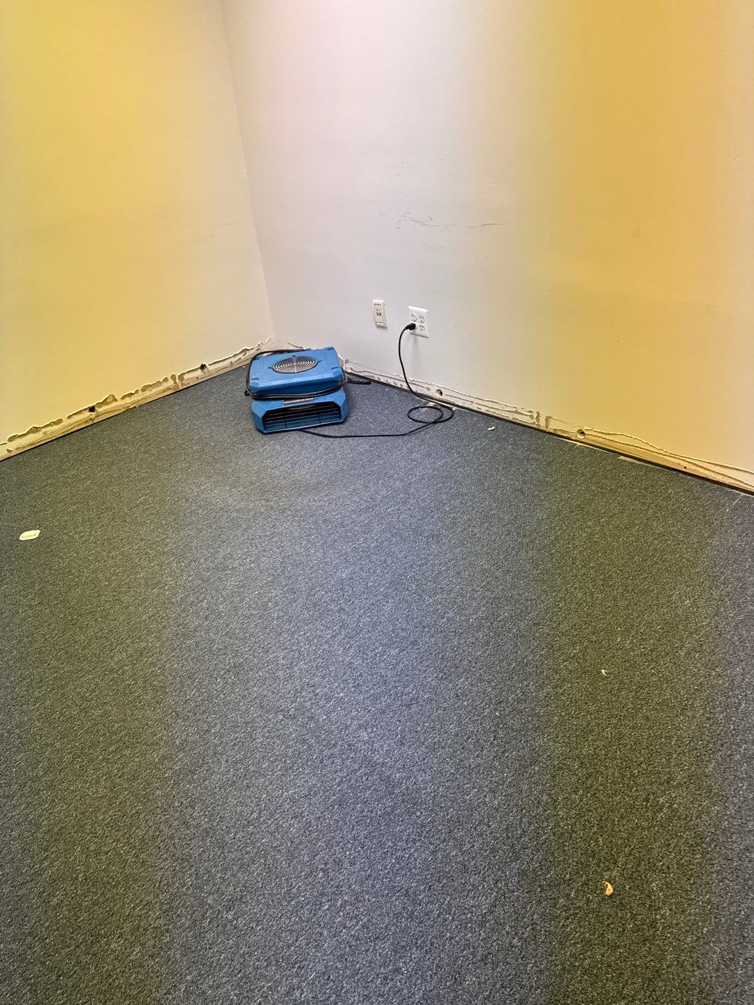 Project in Warren by EzDry Water Mitigation & Property Restoration