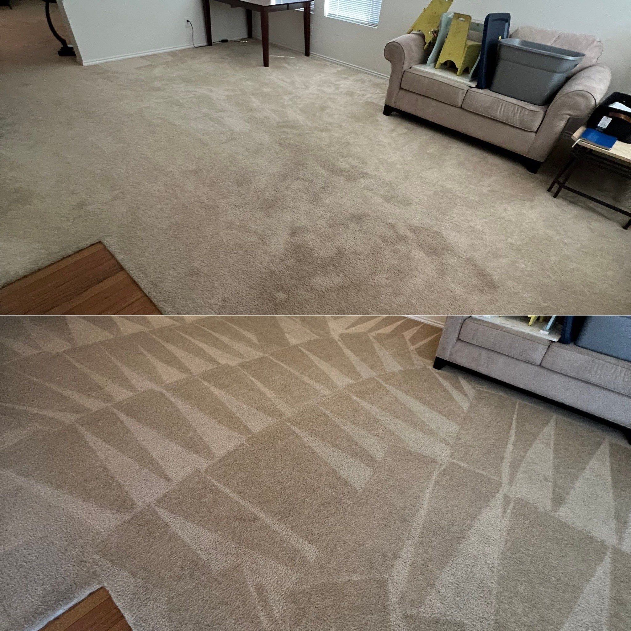 the service being done is deep carpet cleaning to remove stains and refresh the surface of the carpet in the room