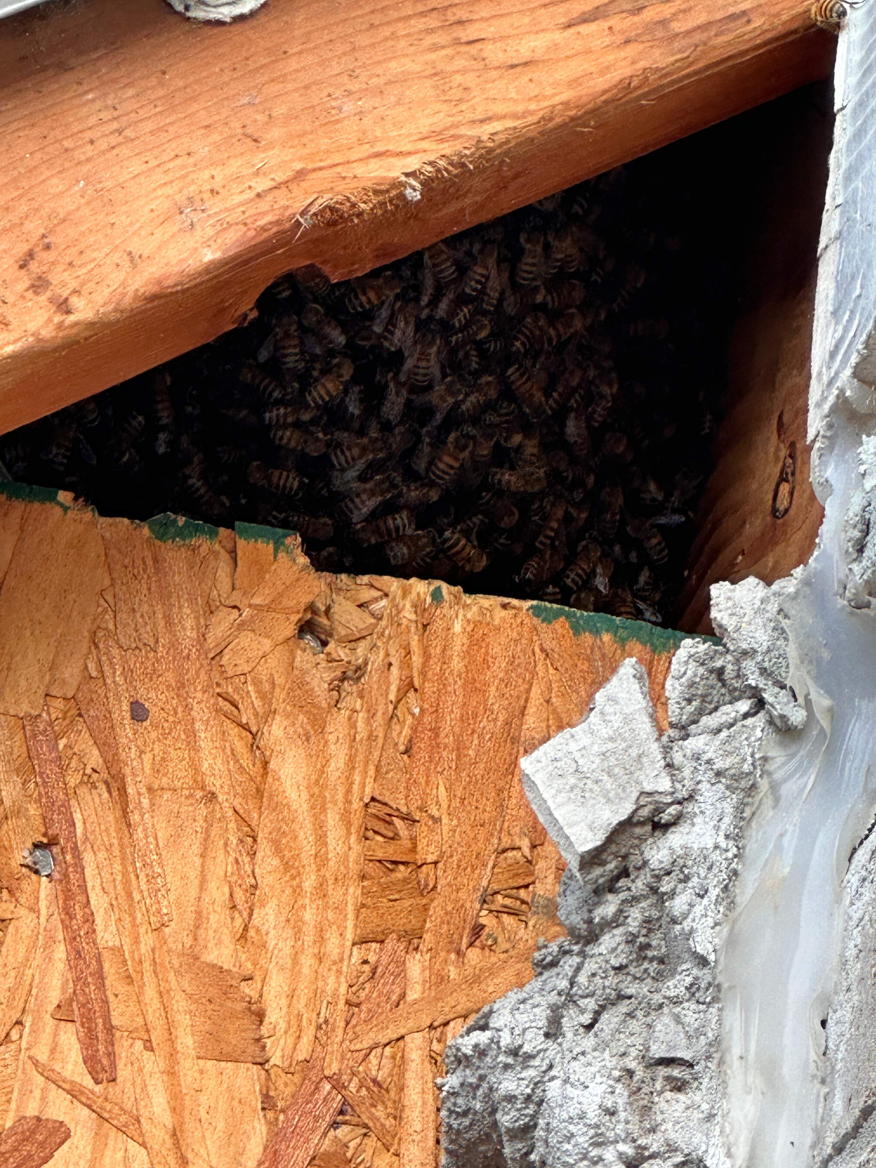 Heartfelt by Rockwall Honey Bee Company