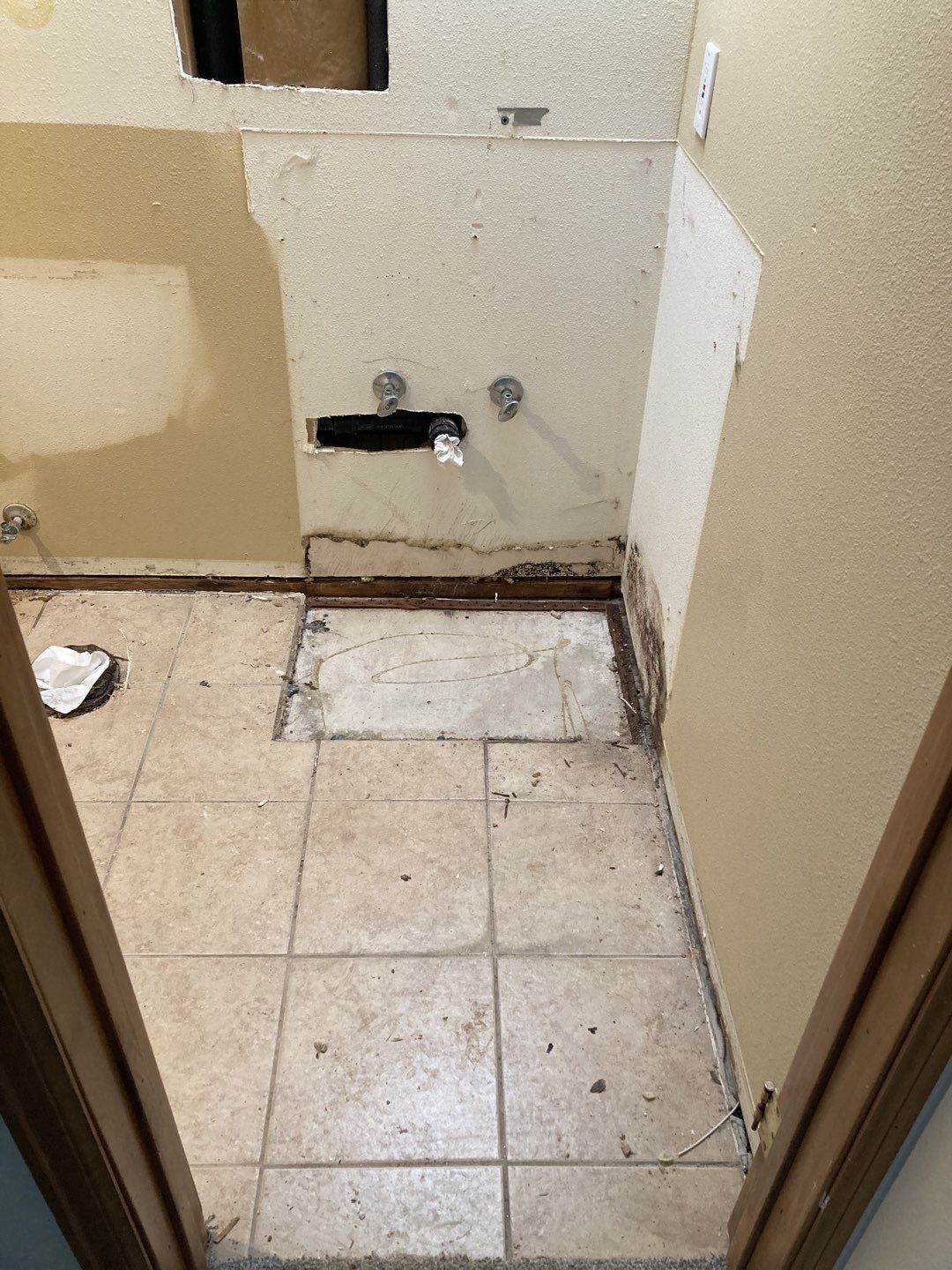 Mold Remediation by Accountable Home Services