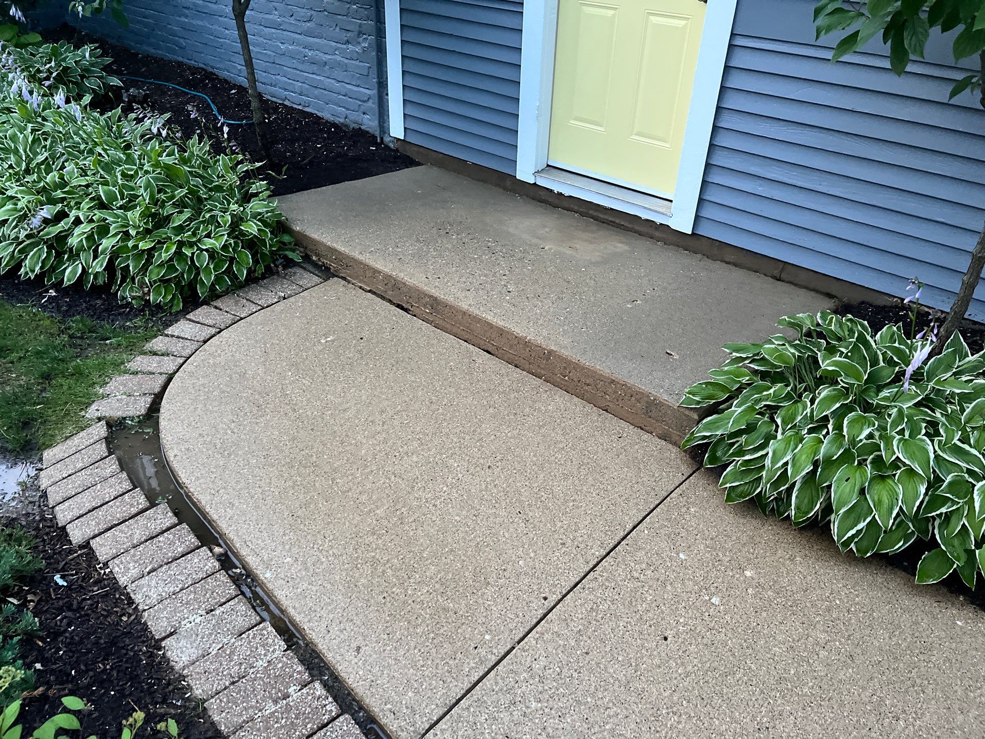 concrete cleaning using Algaecide, soft wash soap by Northern Power Washing LLC.
