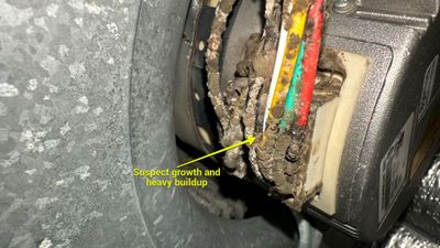 Air Duct Cleaning in Tavares