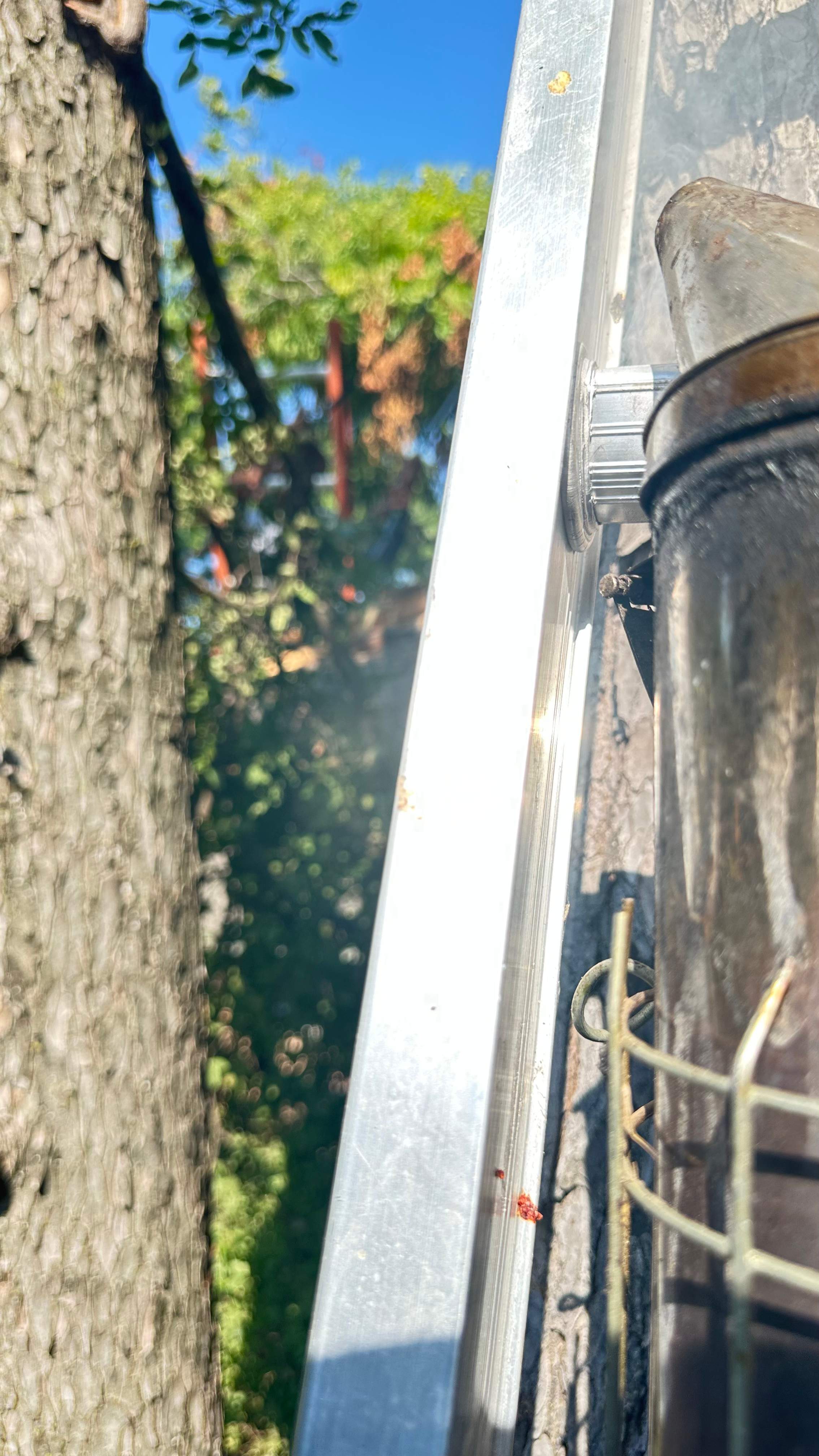 Tree Service Help  by Rockwall Honey Bee Company