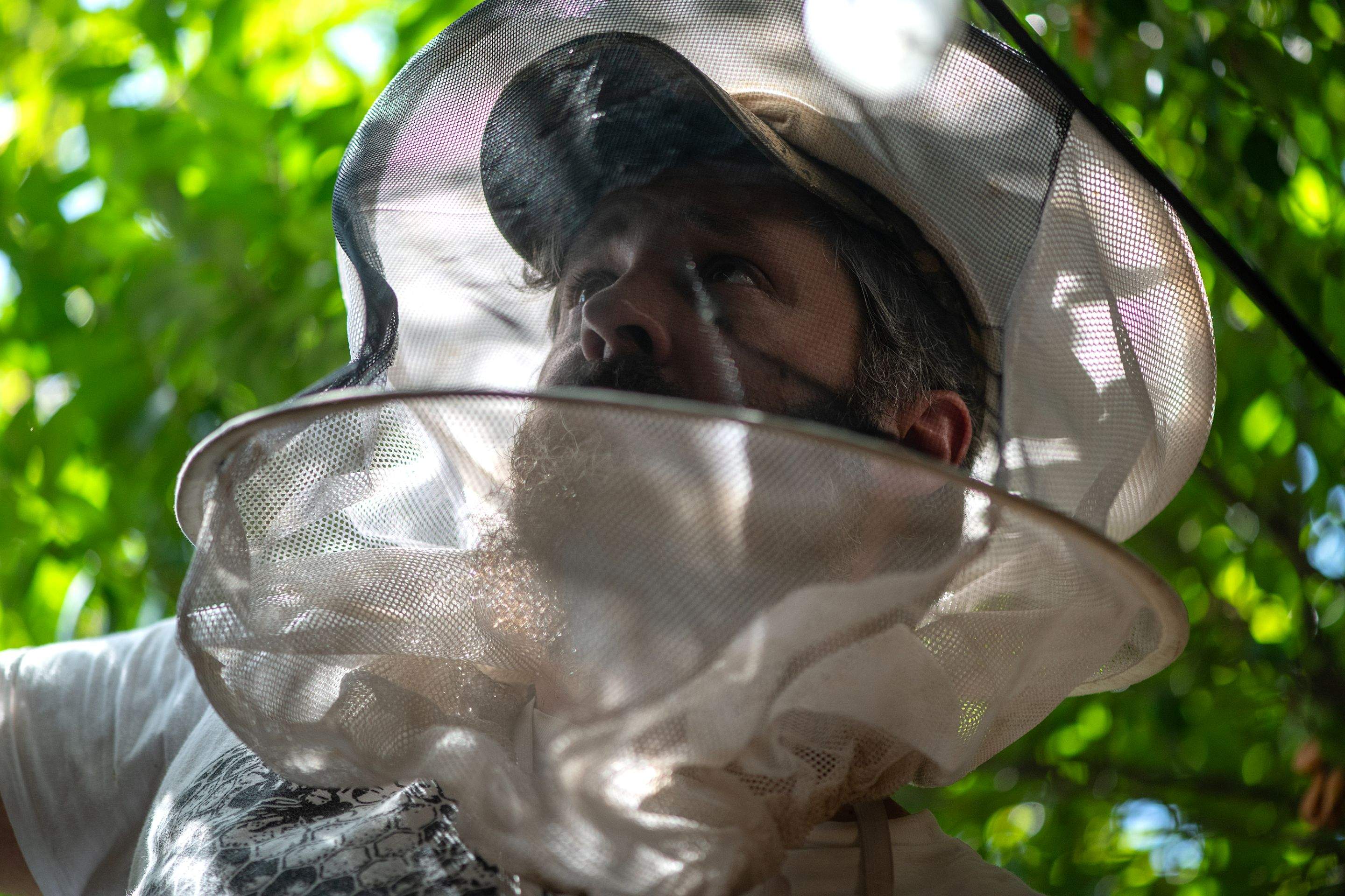 Condo Patio by Rockwall Honey Bee Company