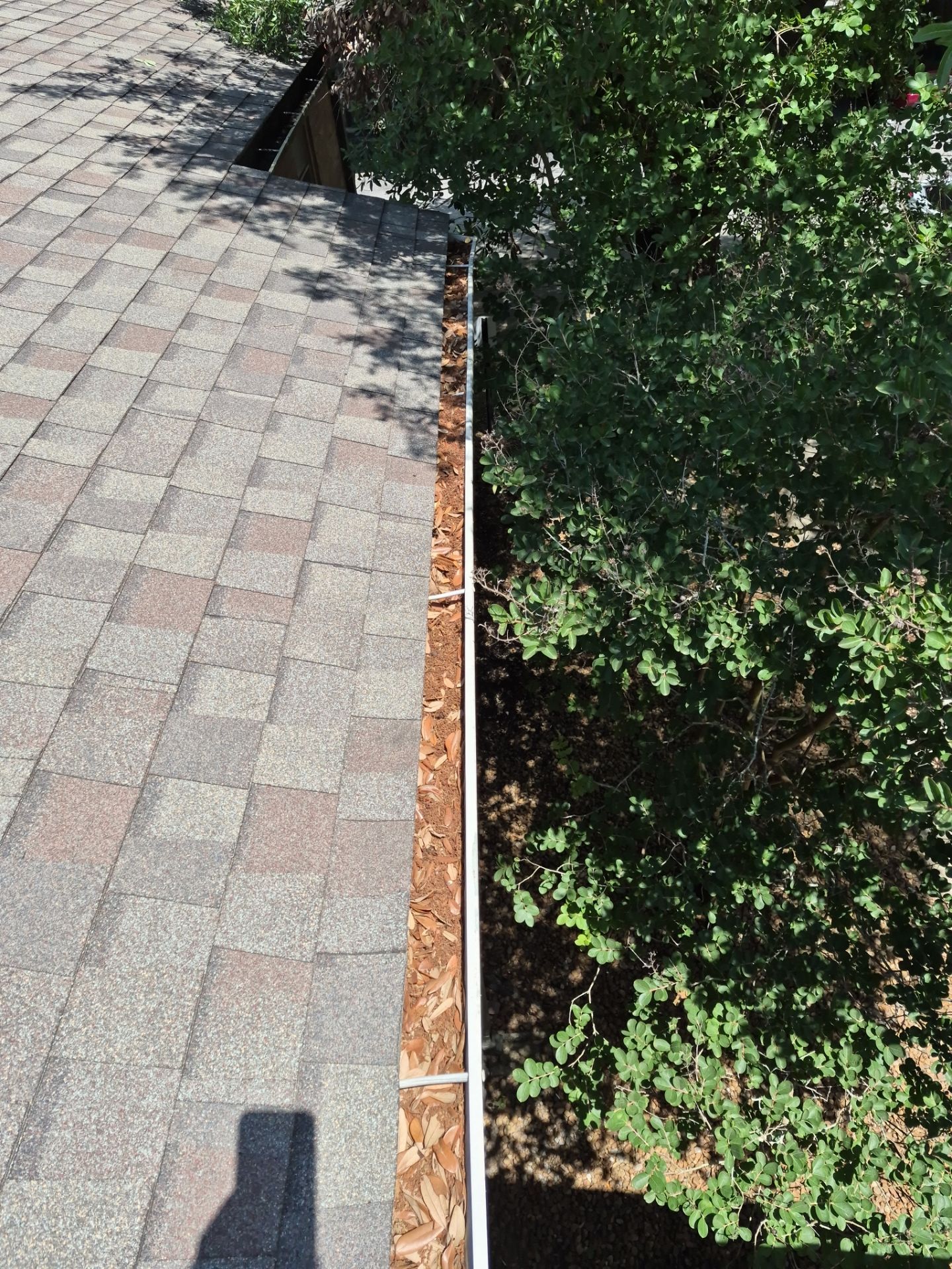 Commercial gutter cleaning Shreveport, LA, LA before photo with filled gutters