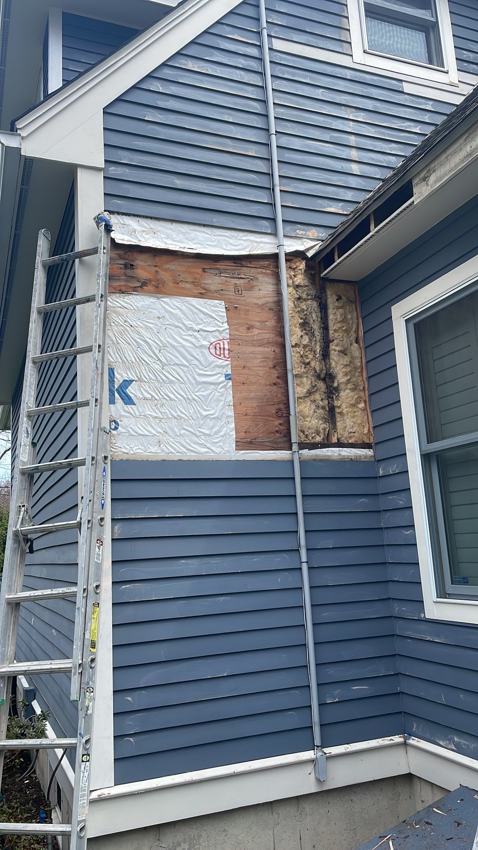 Exterior Painting & Carpentry Repairs by EXCELLENCE | CARTO