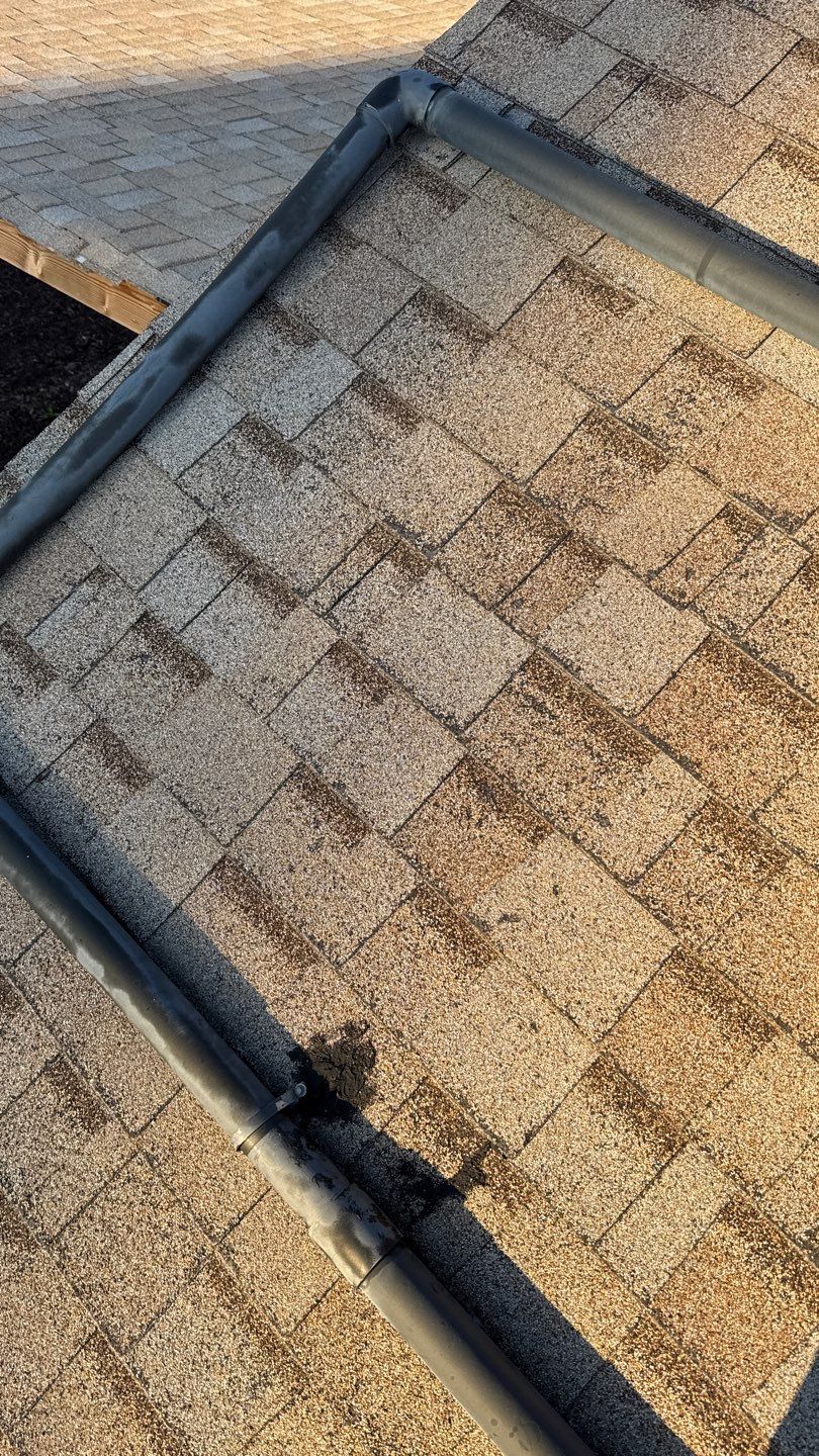 Project in Galt  by NuLead Construction Inc