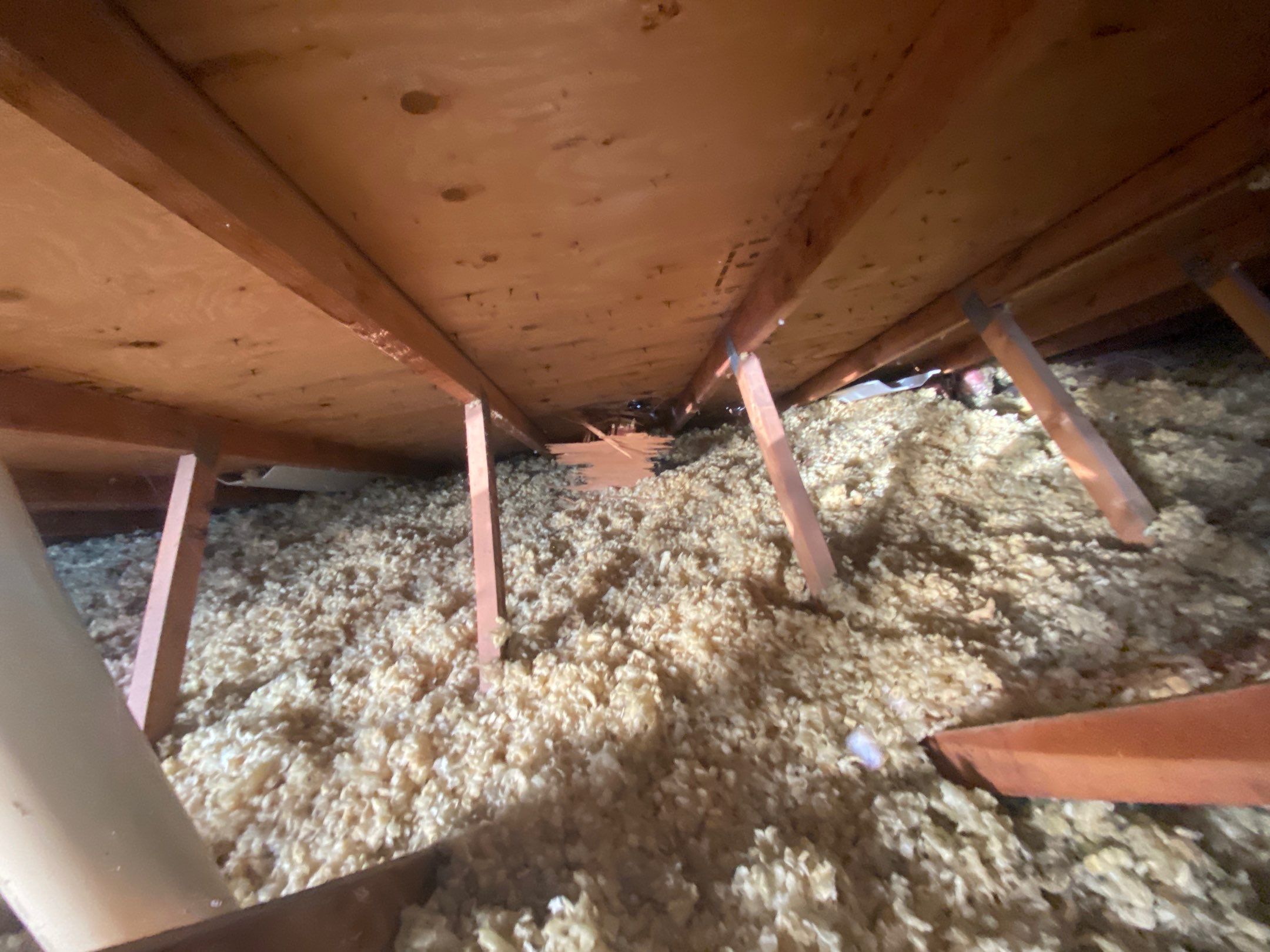 Roof Replacement using CertainTeed Landmark Pro by 180 Contractors