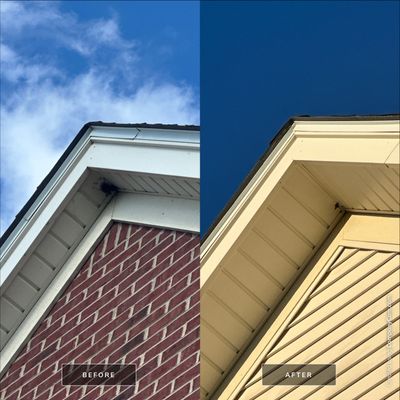 Project in Island Lake