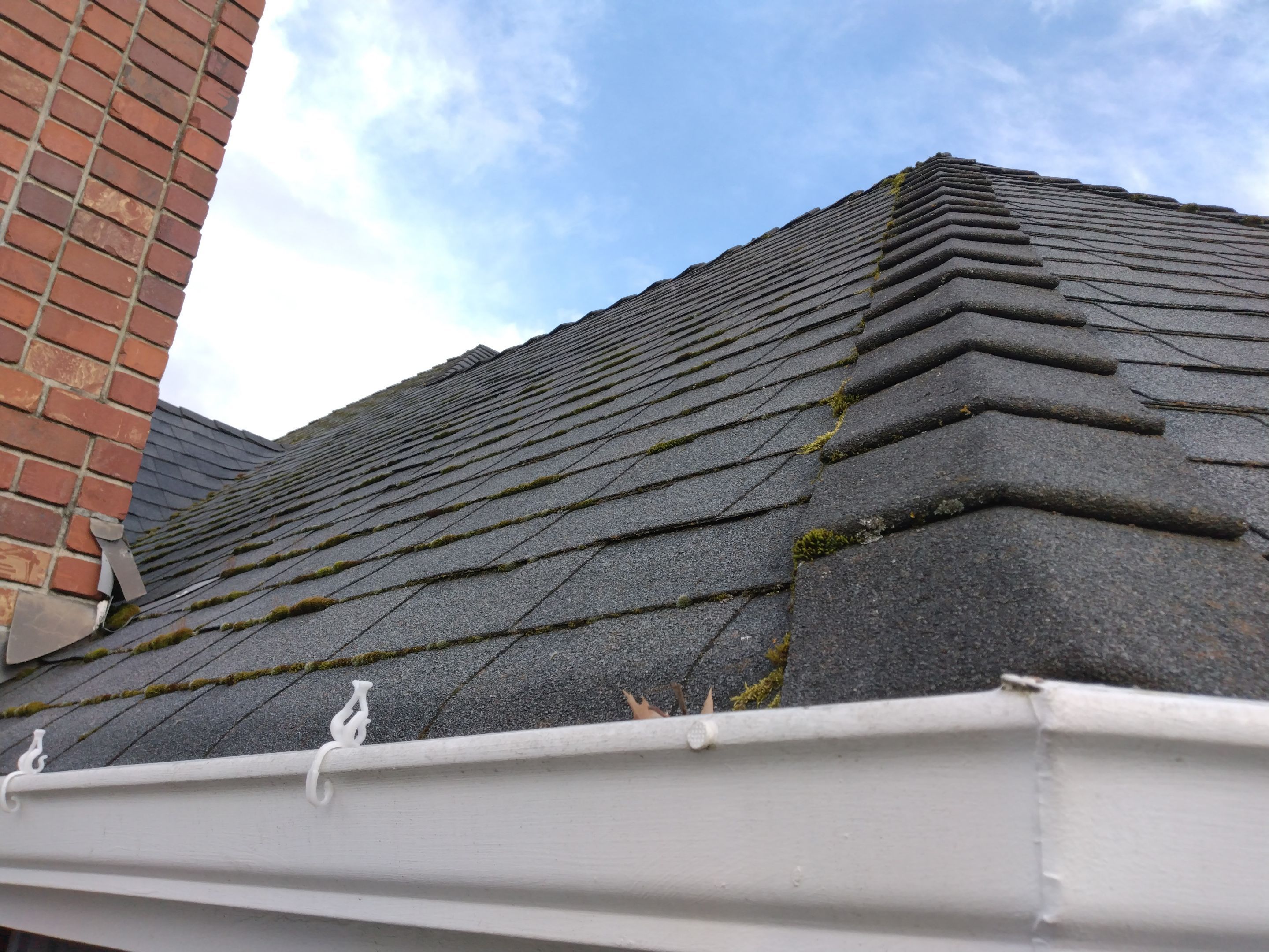 Roof Cleaning  using Moss Treatment  by BEST Roofing & Waterproofing