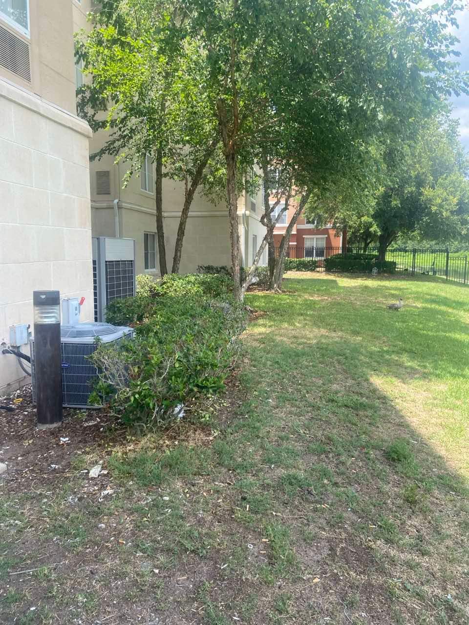 Homewood Suites | Tree Service by ProGreen Services