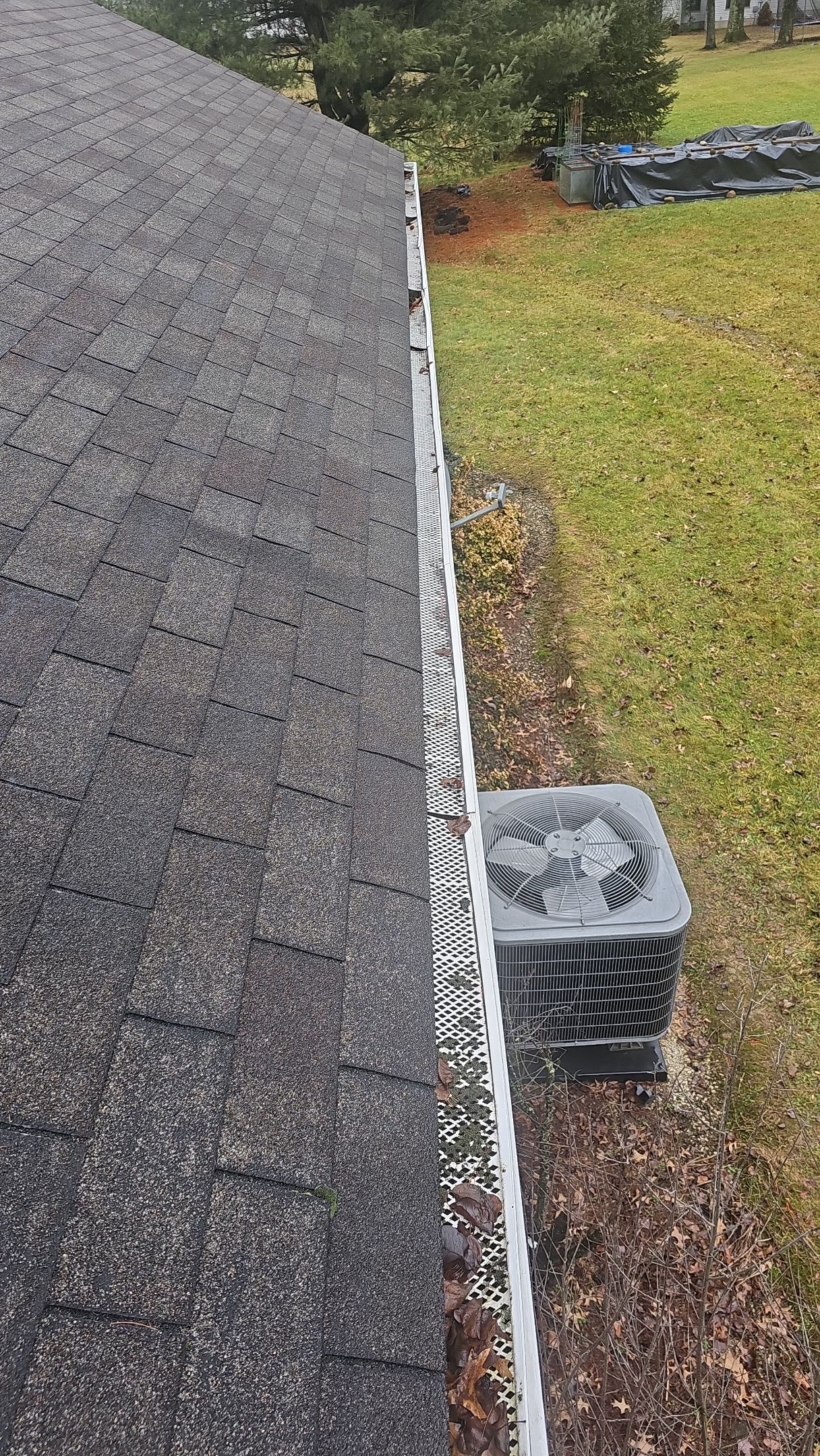 Alpha Rib, Color: Forest Green by Eagle Eye Roofing